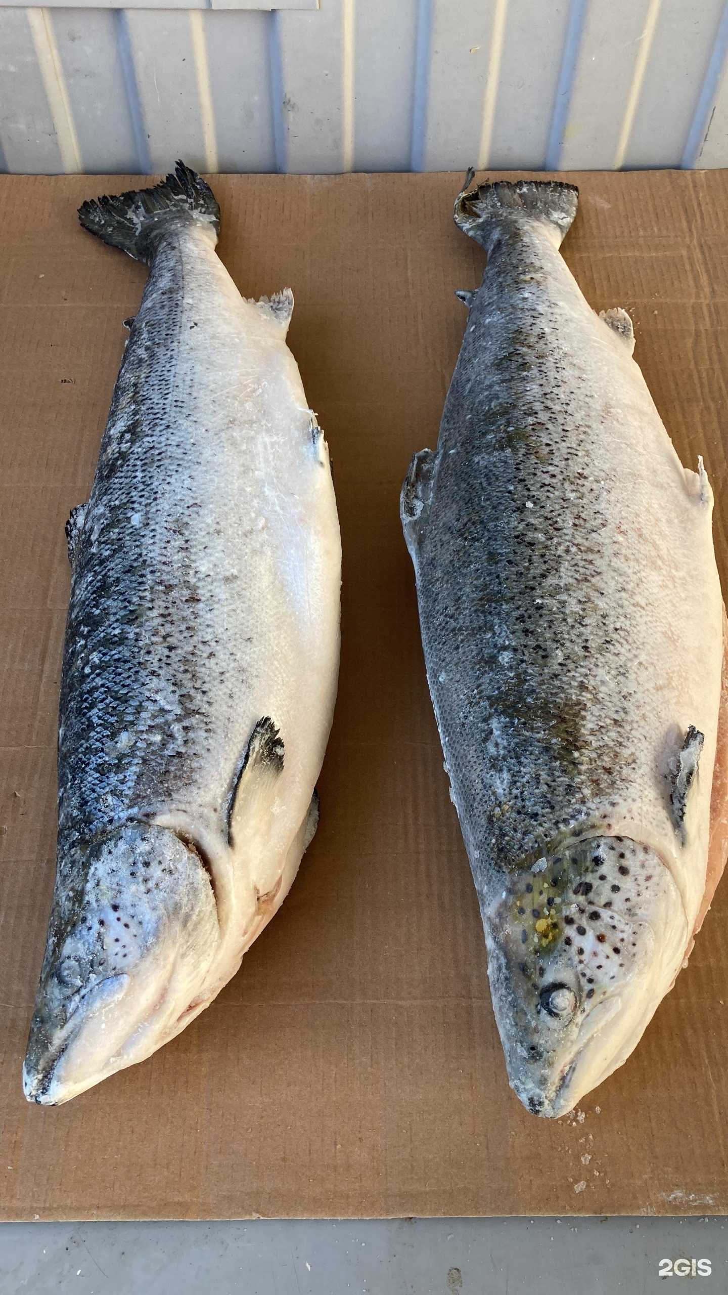 Отзывы на компанию Волна в г. Анапа c фото