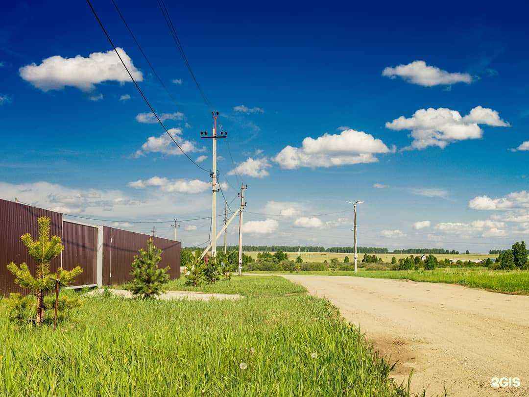 Отзывы на компанию Дружный в г. Челябинск c фото