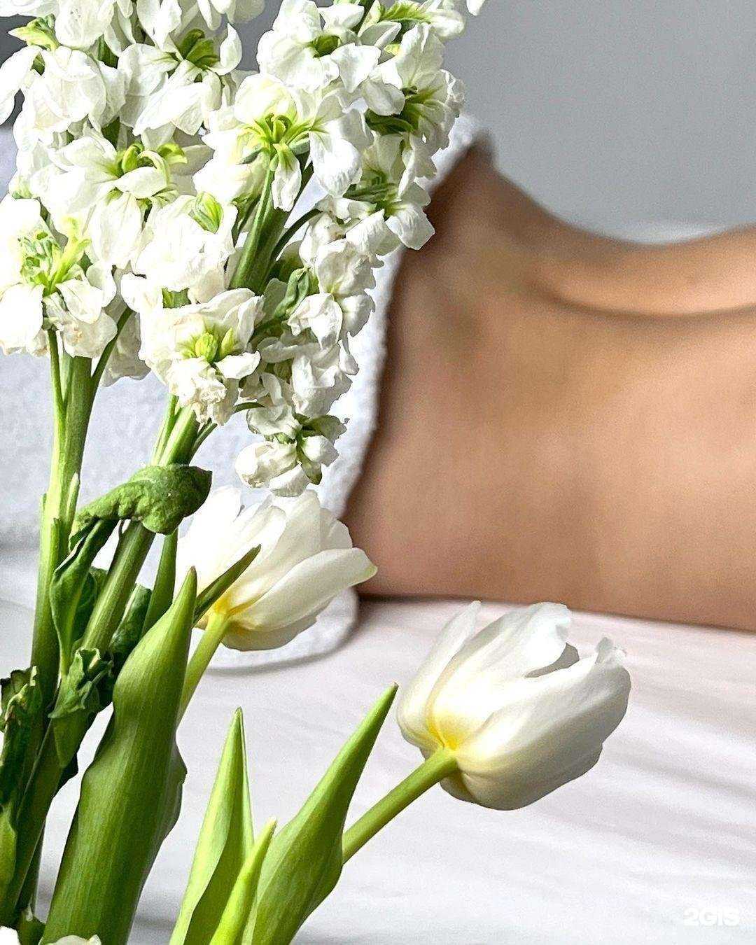 Отзывы на компанию Elite Telo в г. Краснодар c фото