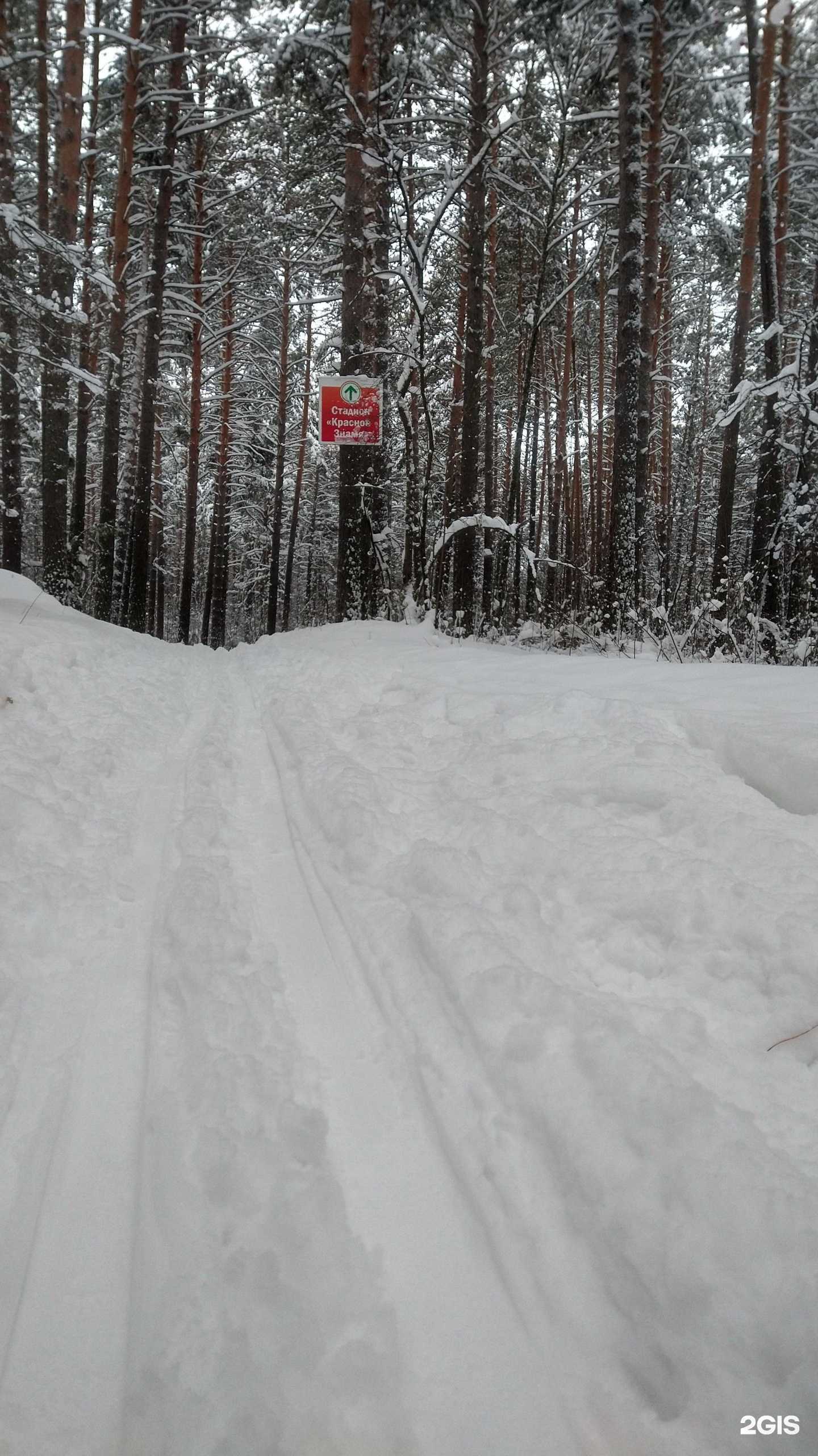 Отзывы на компанию Инстинкт в Новосибирске c фото - фотография 2 из 2
