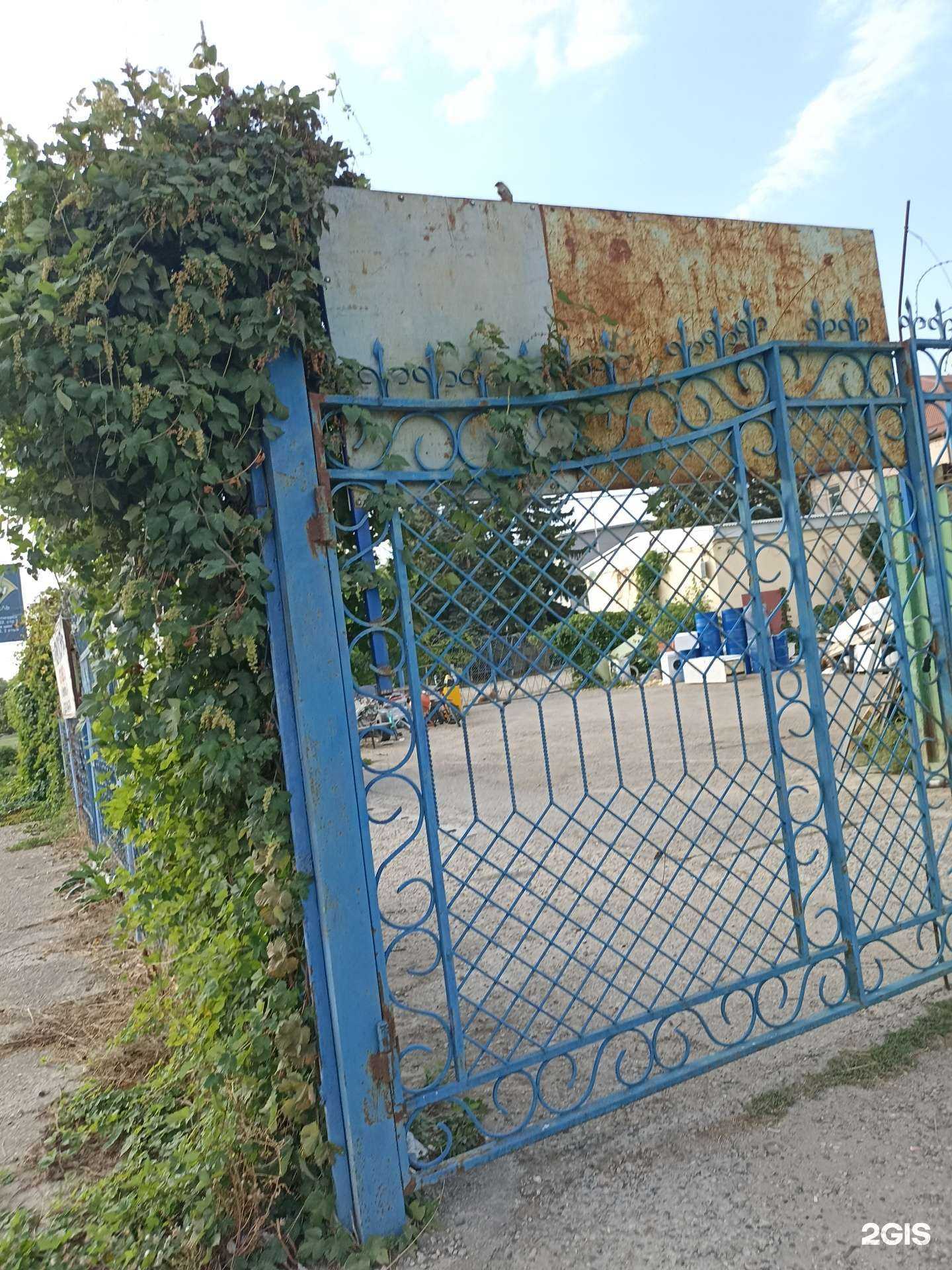 Отзывы на компанию ТриЯ в Пятигорске c фото