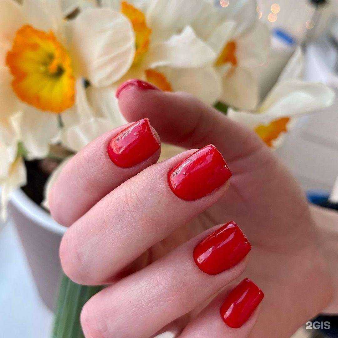 Отзывы на компанию Vanilla в Краснодаре c фото