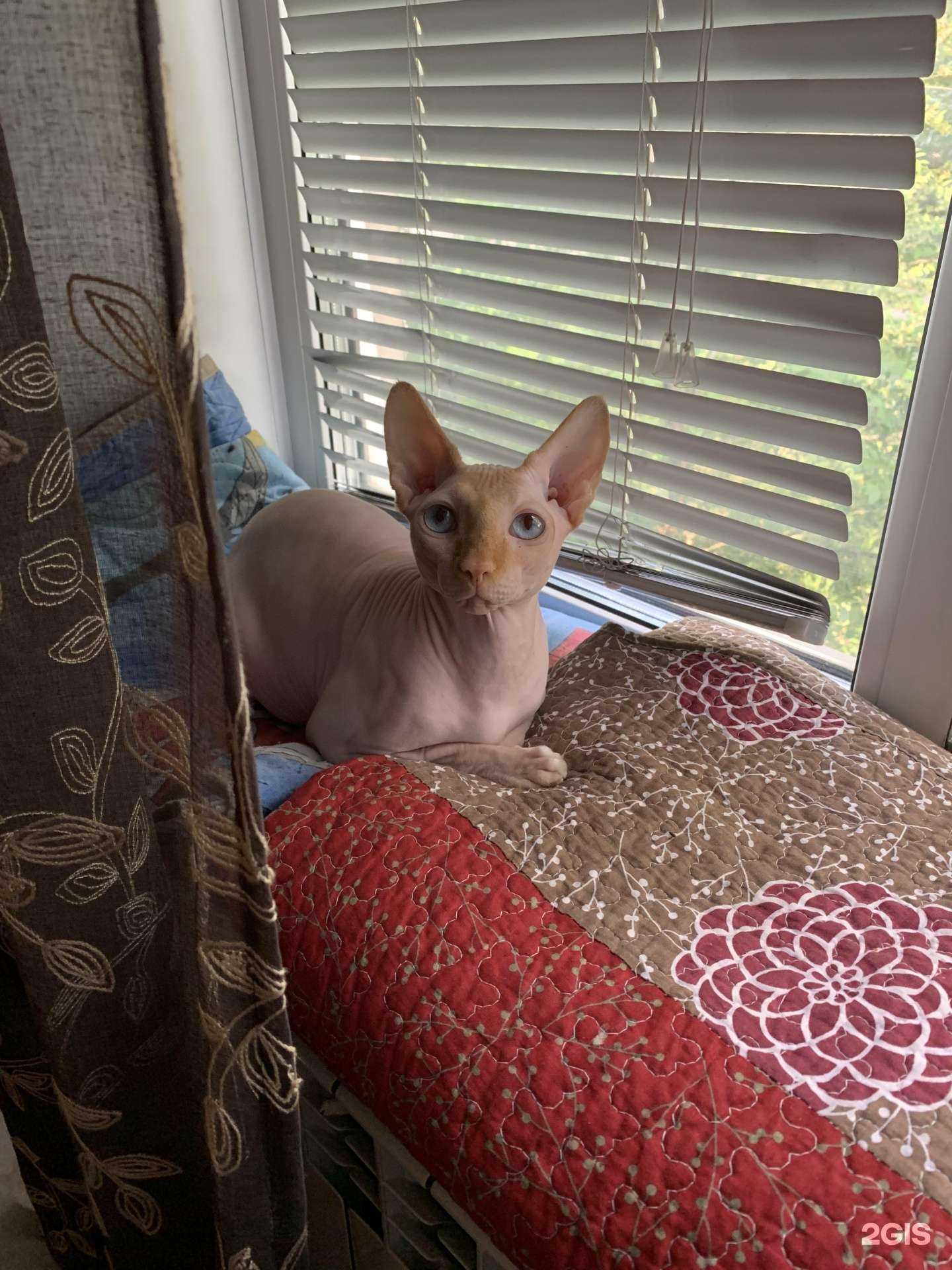 Отзывы на компанию Красноярский отдел ветеринарии в Красноярске c фото