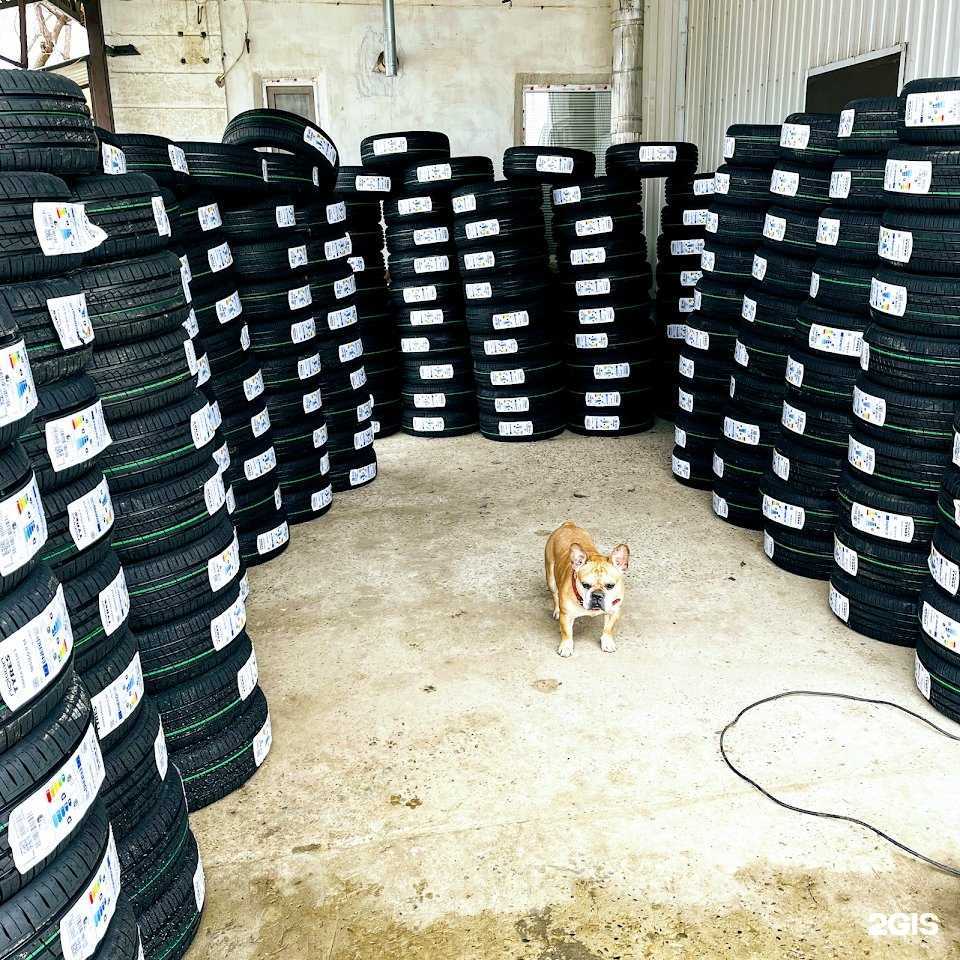 Отзывы на компанию N-Tyre в Светлограде c фото