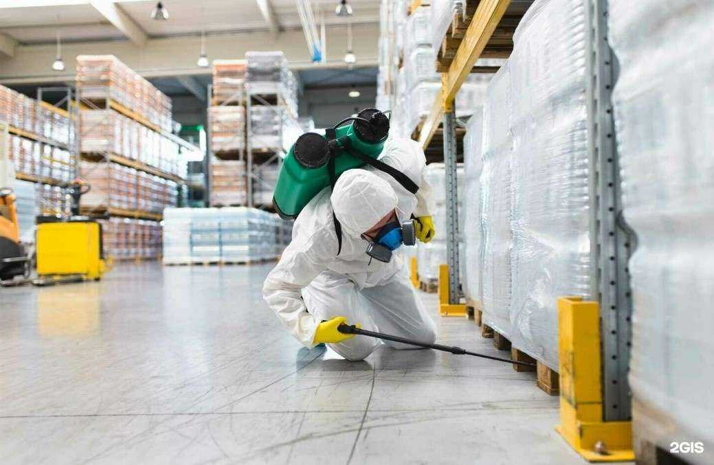 Отзывы на компанию ДезВердикт в г. Барнаул c фото