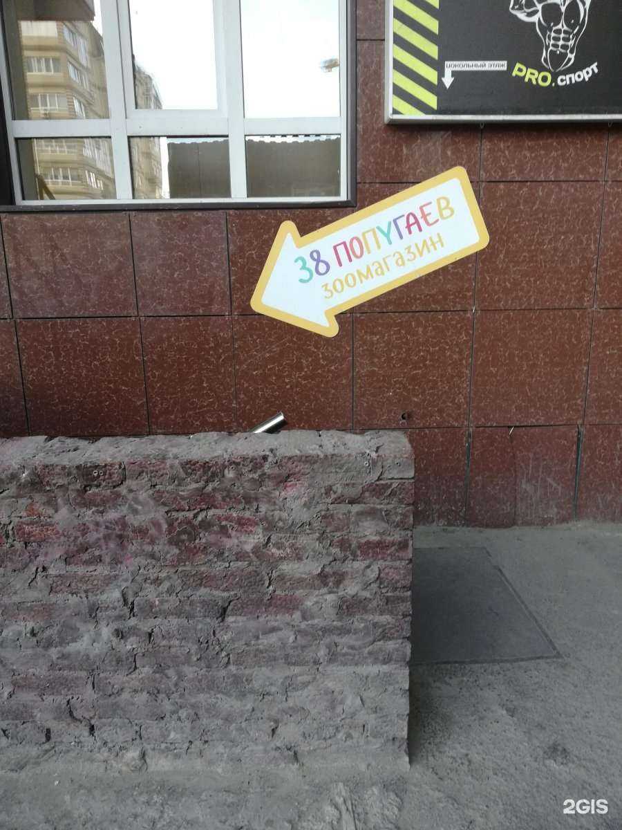 Отзывы на компанию 38 попугаев в г. Ростов-на-Дону c фото