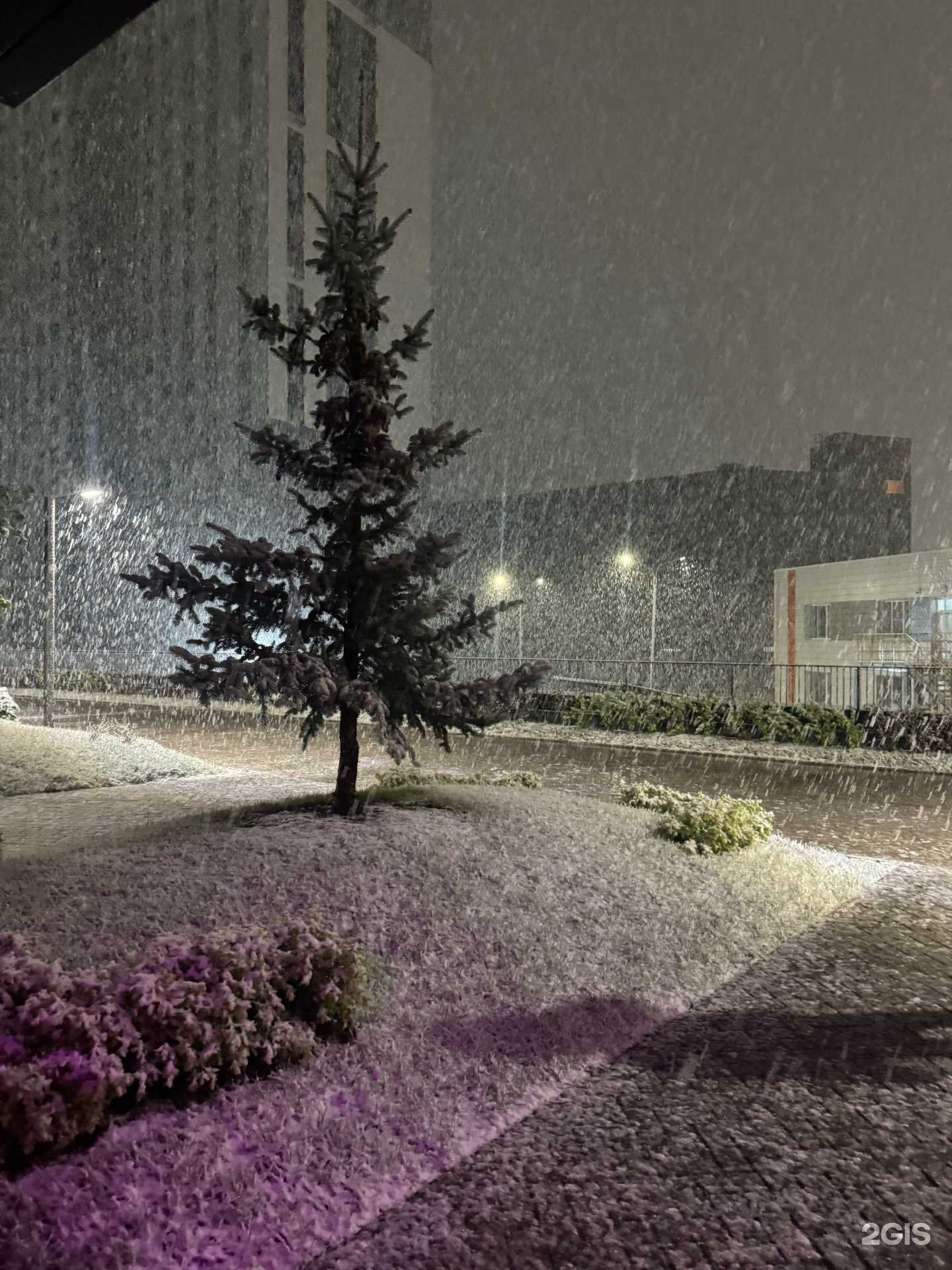 Отзывы на компанию Freska в Казани c фото