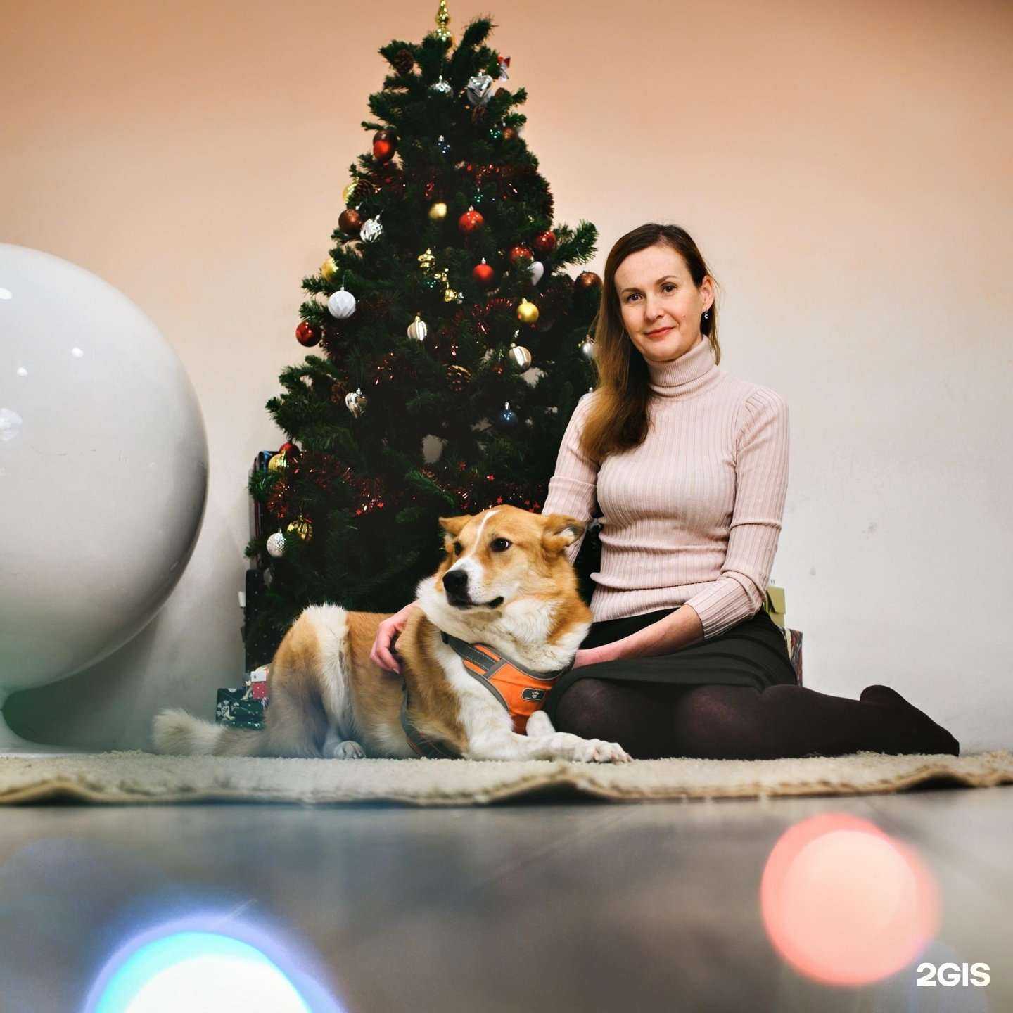 Отзывы на компанию Питомец в Красногорске c фото