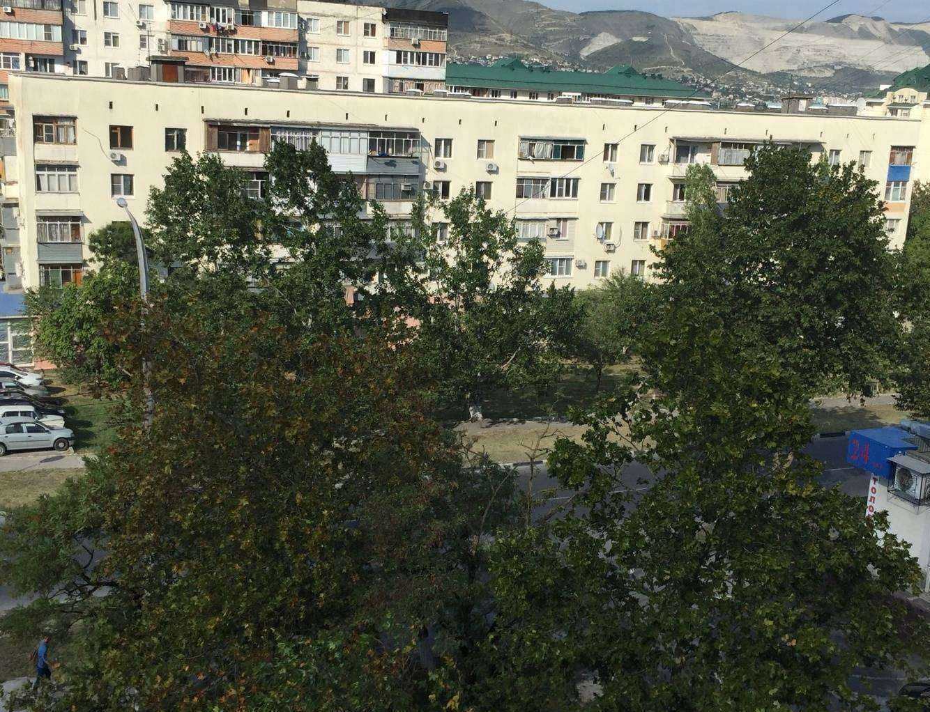 Отзывы на компанию Profarmy в Новороссийске c фото - фотография 2 из 2