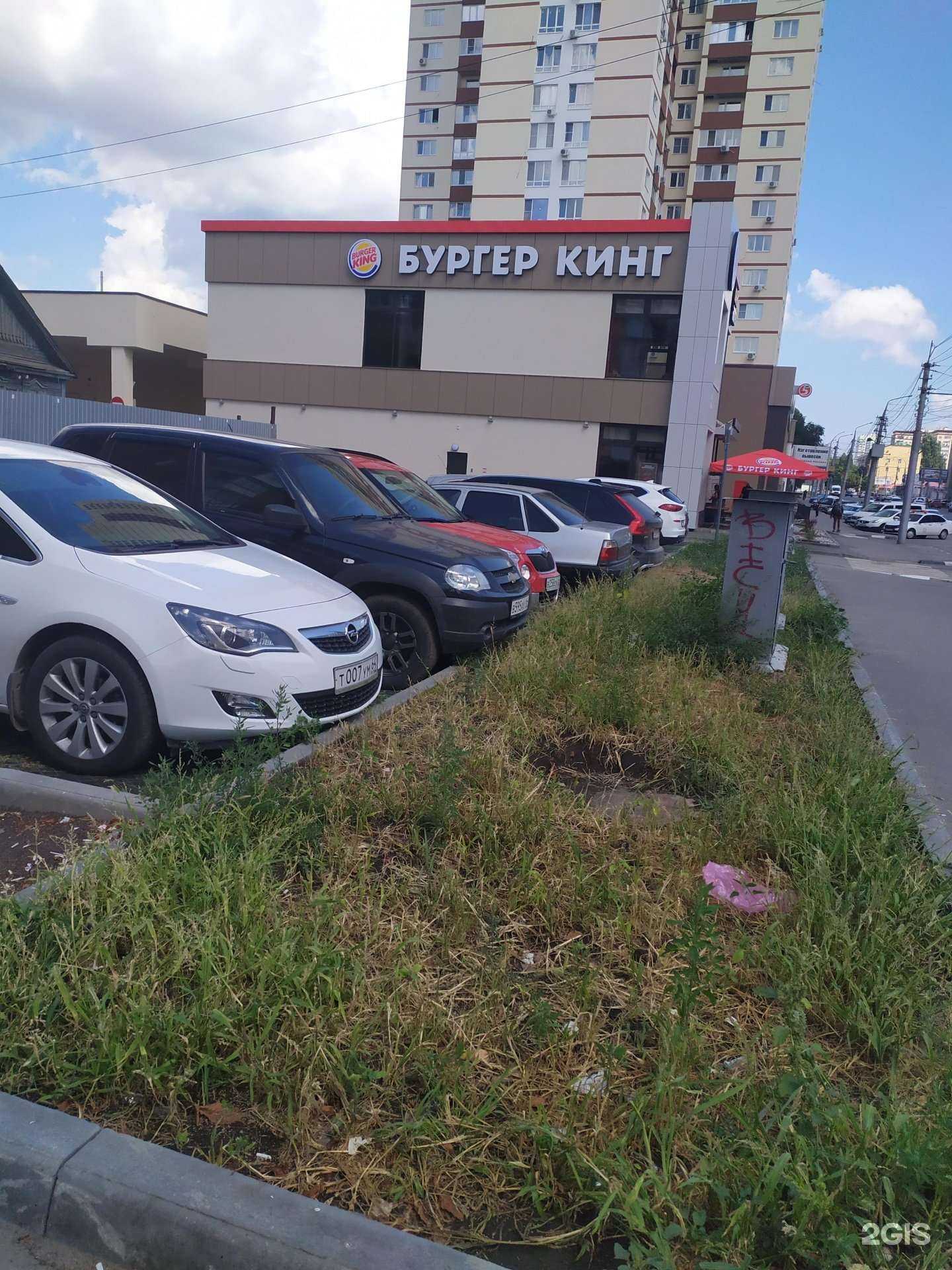 Отзывы на компанию Бургер Кинг в Саратове c фото - фотография 2 из 2