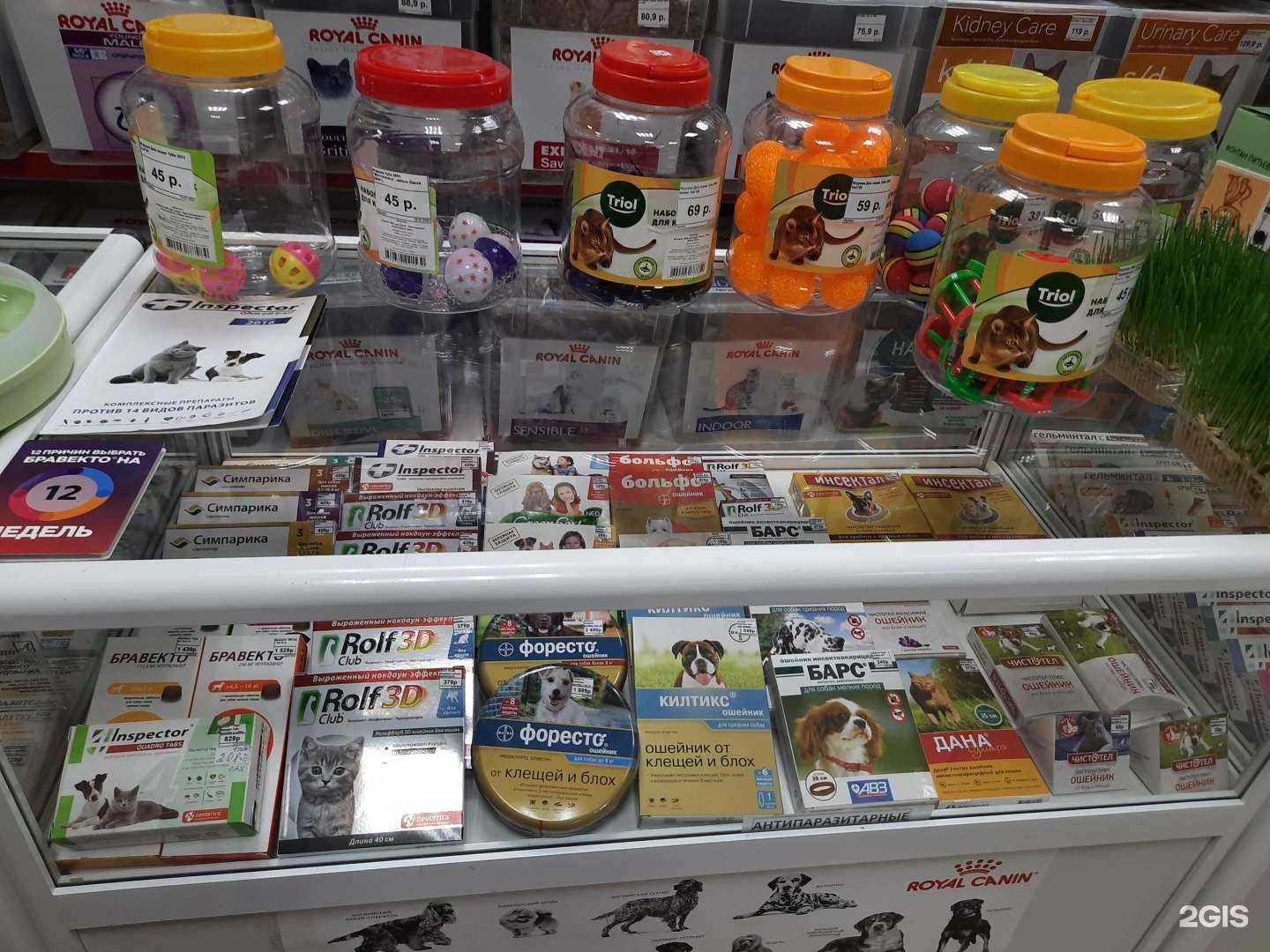 Отзывы на компанию Пёс в сапогах в Пензе c фото