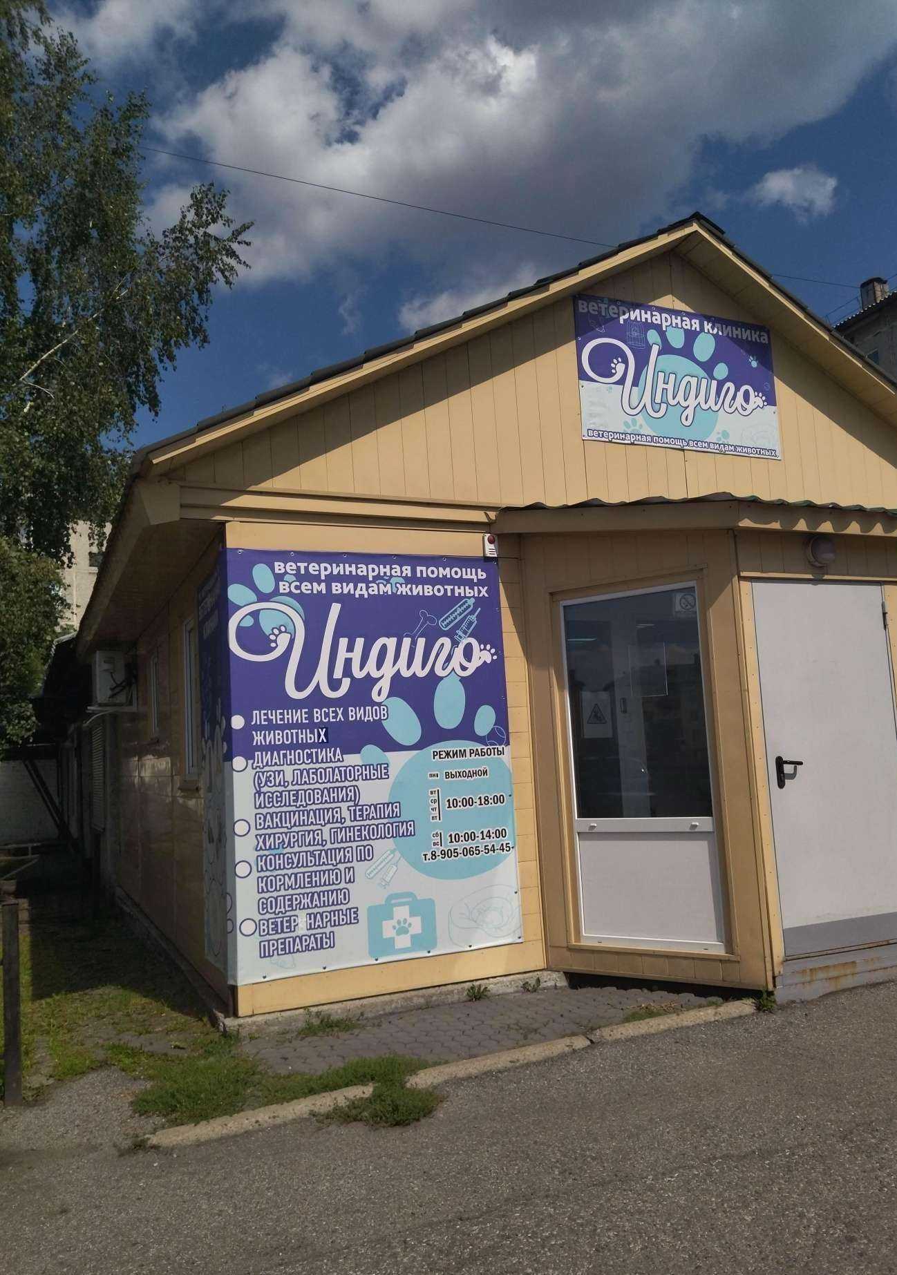 Отзывы на компанию Индиго в г. Междуреченск c фото