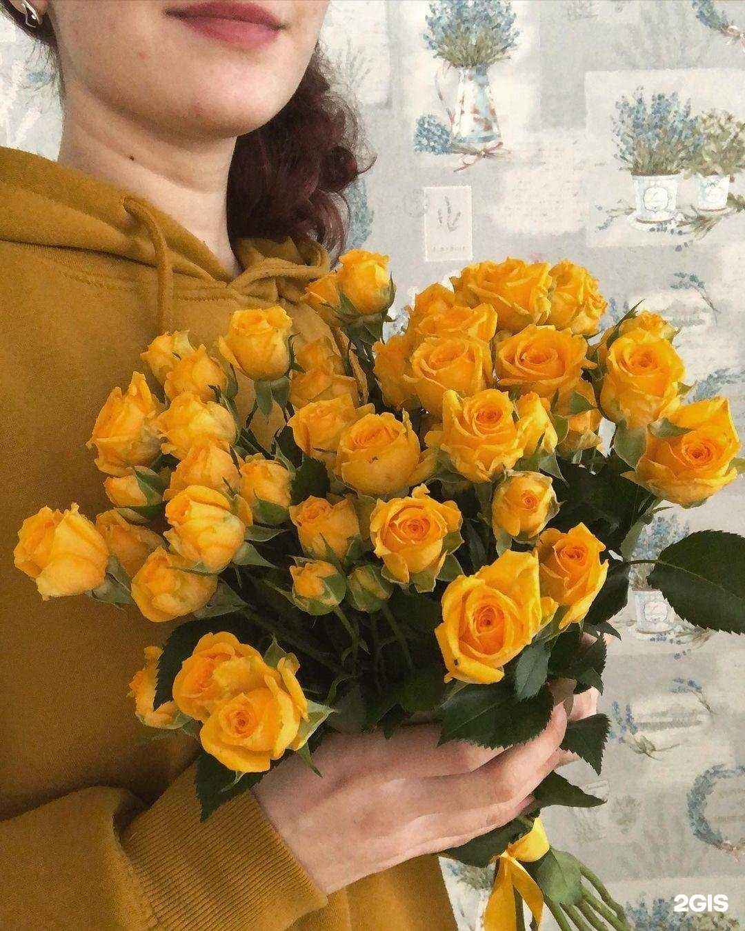 Отзывы на компанию СитиФлора Сток в Костроме c фото