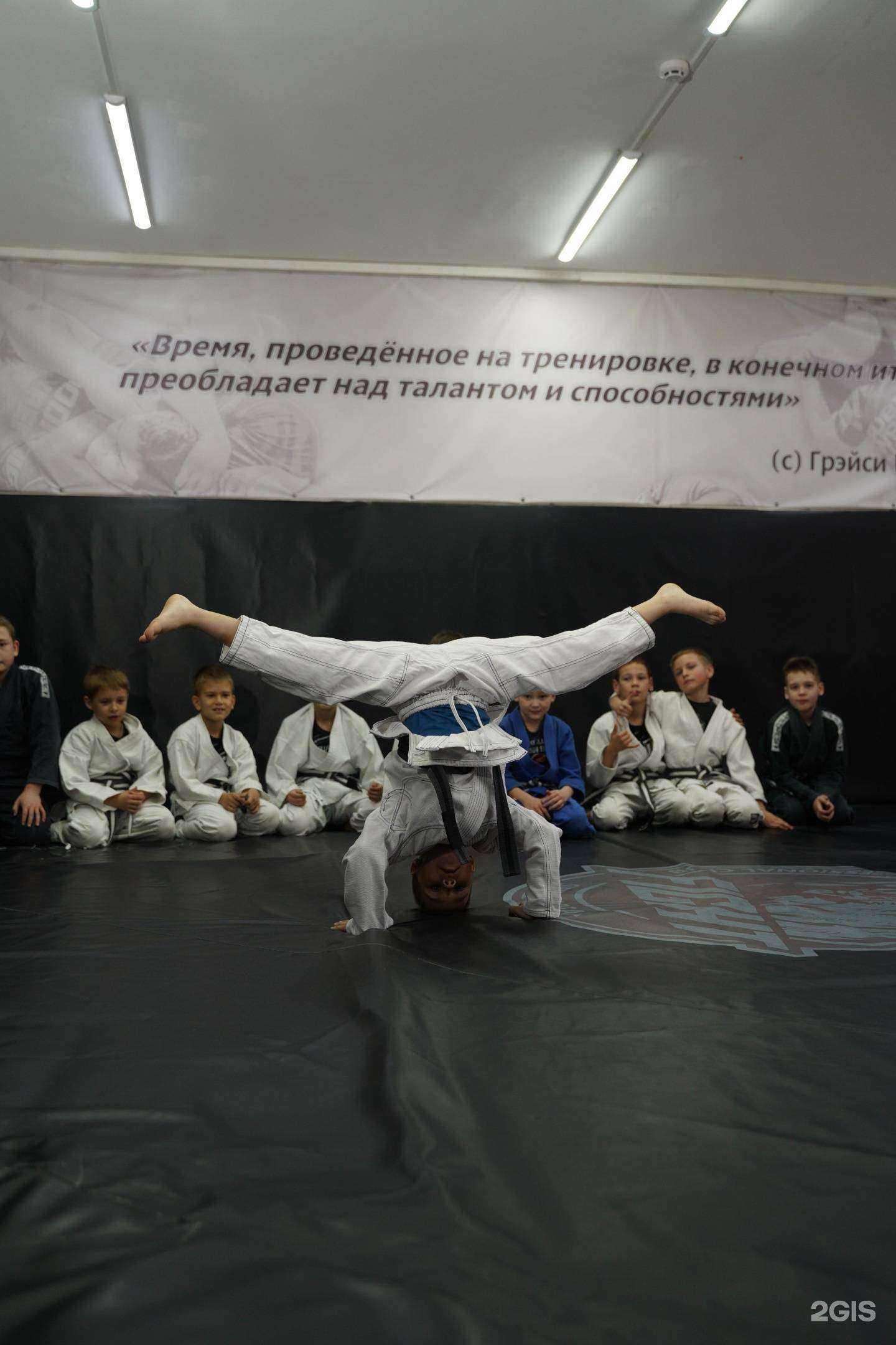 Отзывы на компанию Сибирский Медведь в Иркутске c фото