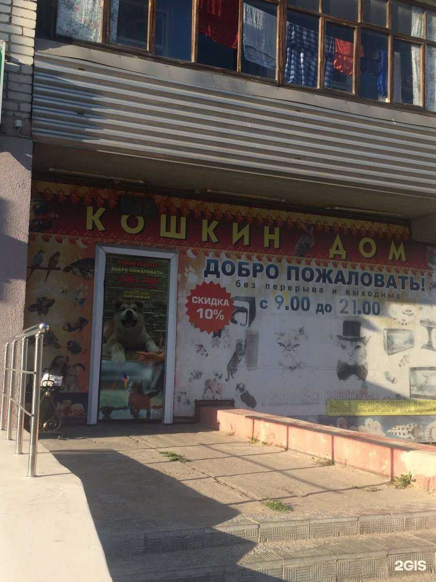 Отзывы на компанию Кошкин дом в г. Брянск c фото