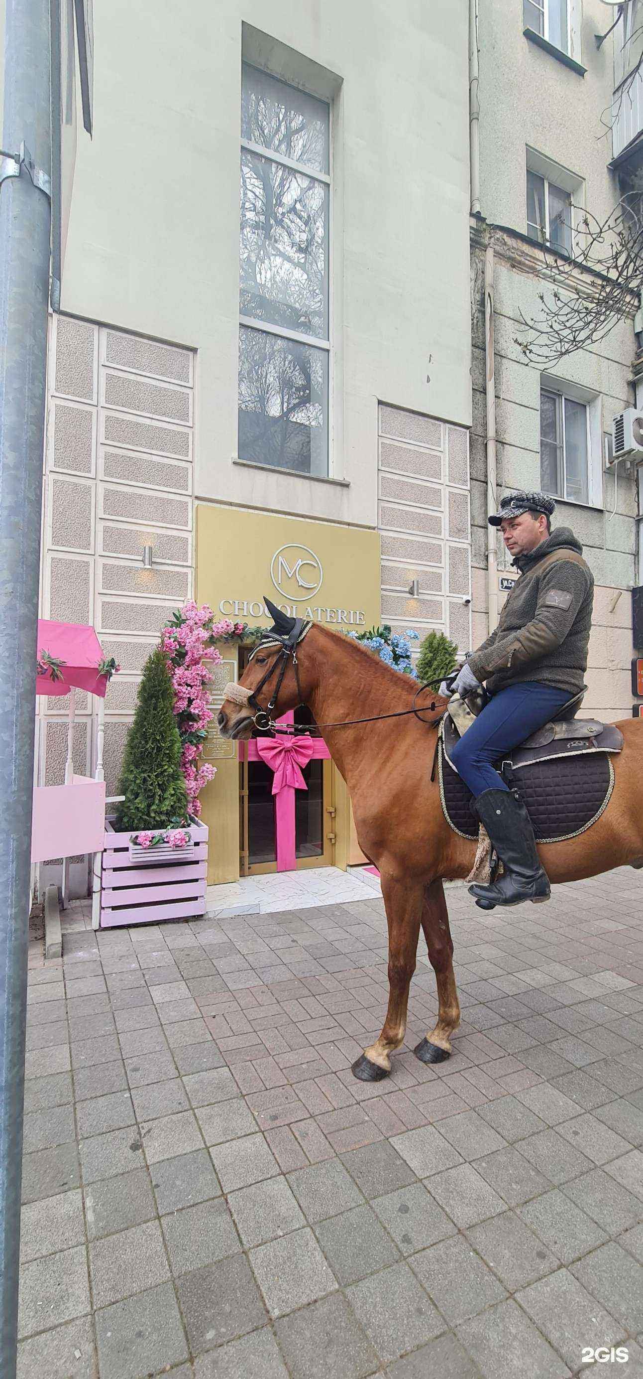 Отзывы на компанию Карат в г. Новороссийск c фото