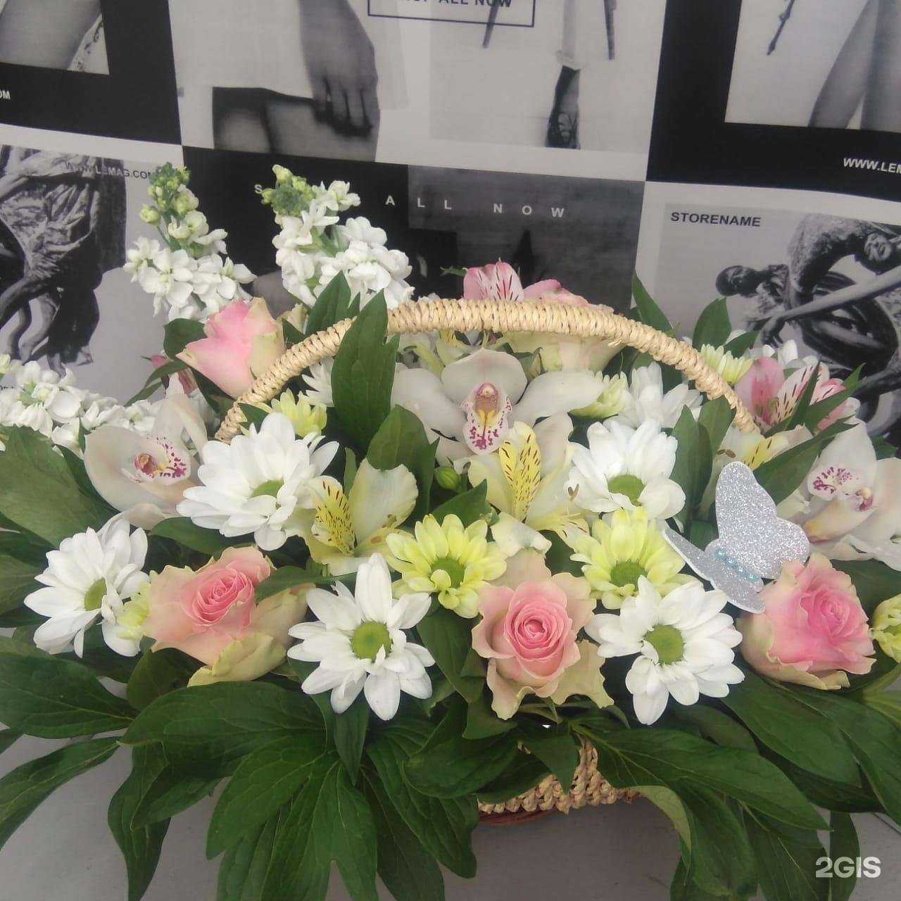 Отзывы на компанию Аделия в Туле c фото