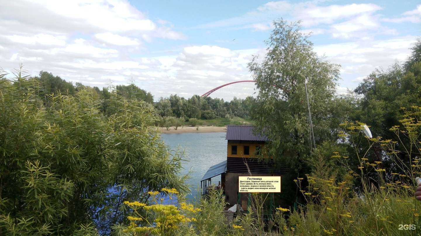 Отзывы на компанию Пекло в Новосибирске c фото