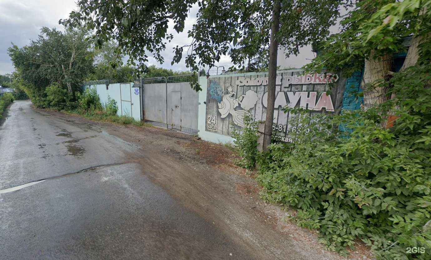 Отзывы на компанию Золотая рыбка в Омске c фото