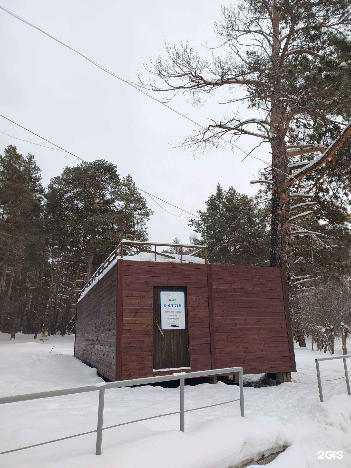 Отзывы на компанию Служба проката спортивного инвентаря в Новосибирске c фото