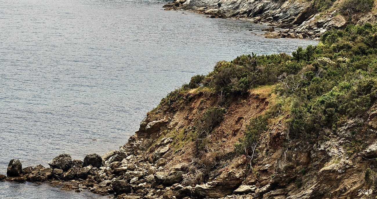 Отзывы на компанию Грум Айти в Воронеже c фото