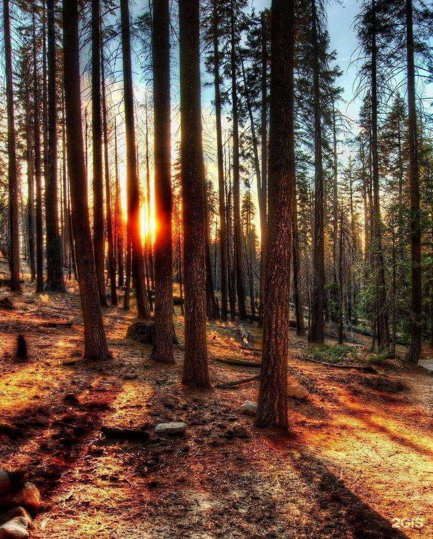 Отзывы на компанию Ореол Здоровья в Чебоксарах c фото