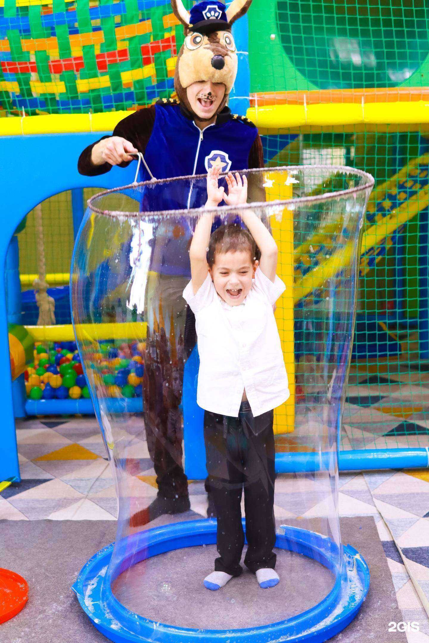 Отзывы на компанию Кот без забот в Уфе c фото