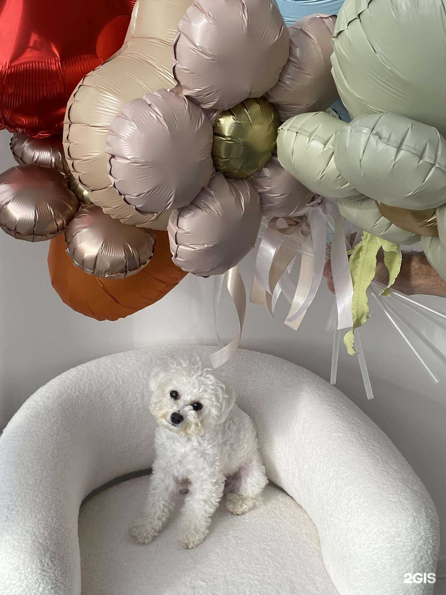 Отзывы на компанию Boom flowers в г. Краснодар c фото