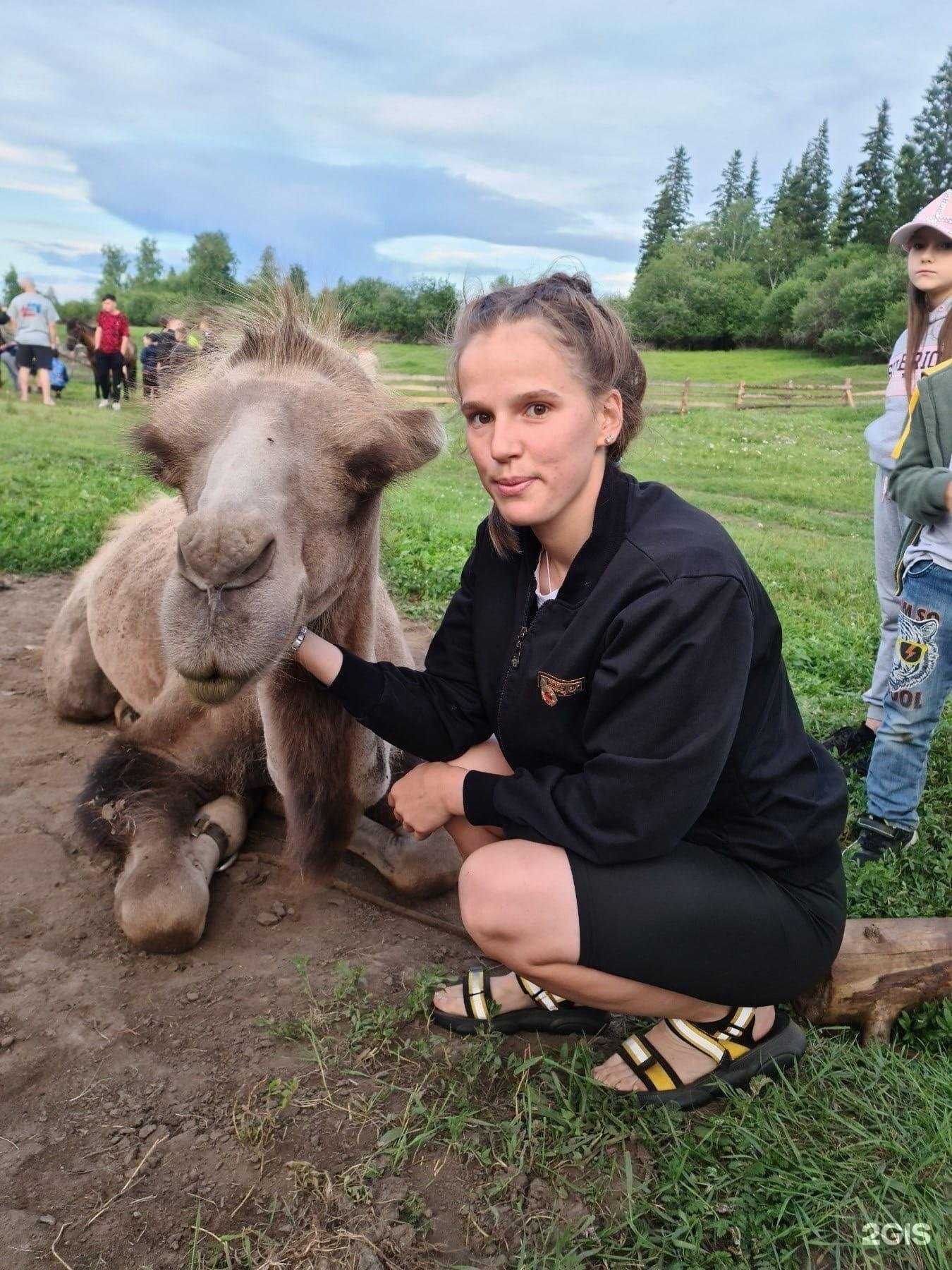 Отзывы на компанию Сибирский Медведь в Ангарске c фото