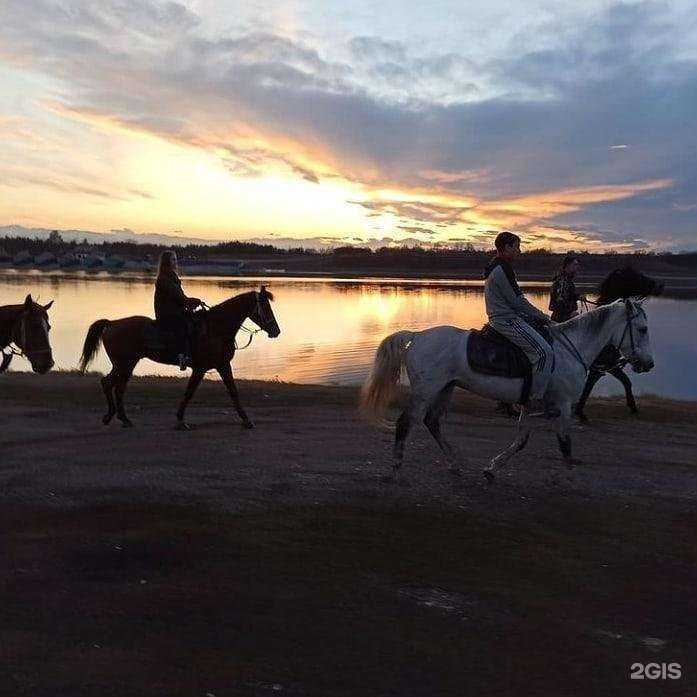 Отзывы на компанию SiraDin в г. Грозный c фото