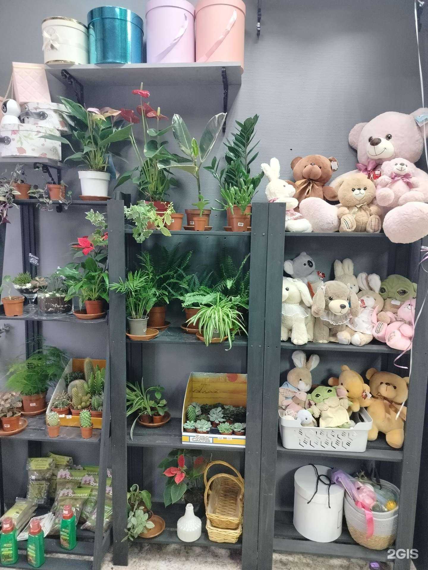 Отзывы на компанию Цветочная мастерская Анны Ботиной в Подольске c фото