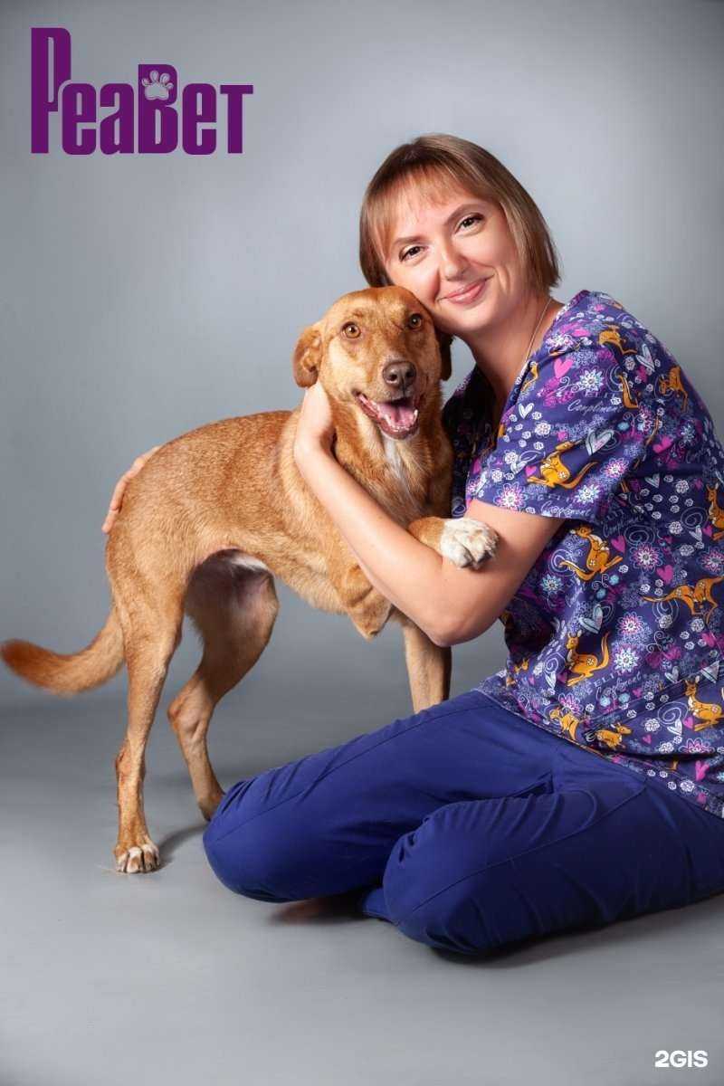 Отзывы на компанию Реавет в Воронеже c фото