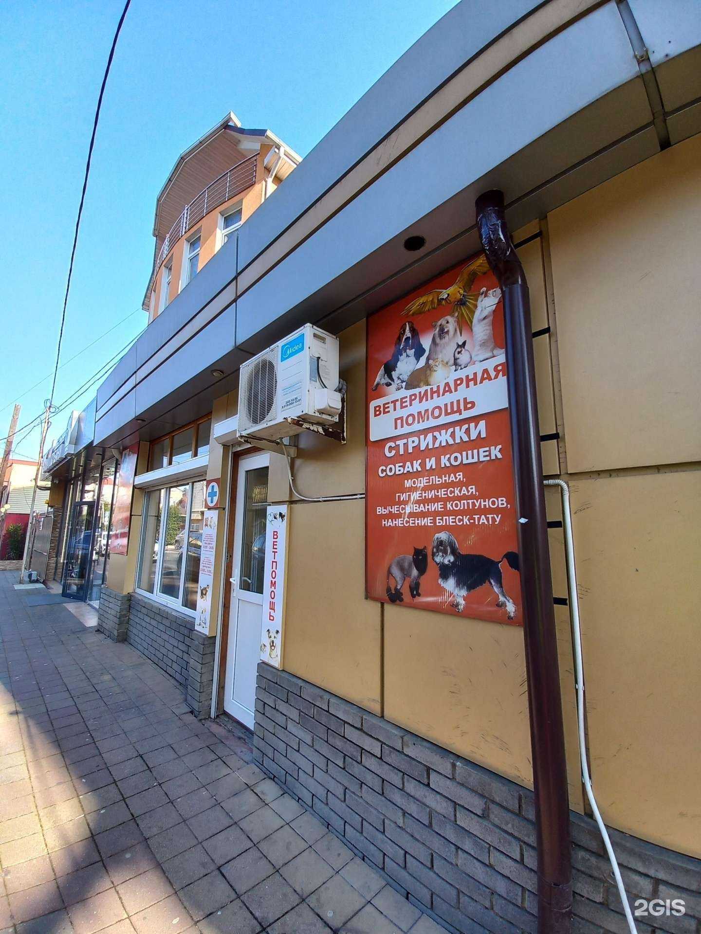 Отзывы на компанию Ветеринарный центр в Сочи c фото