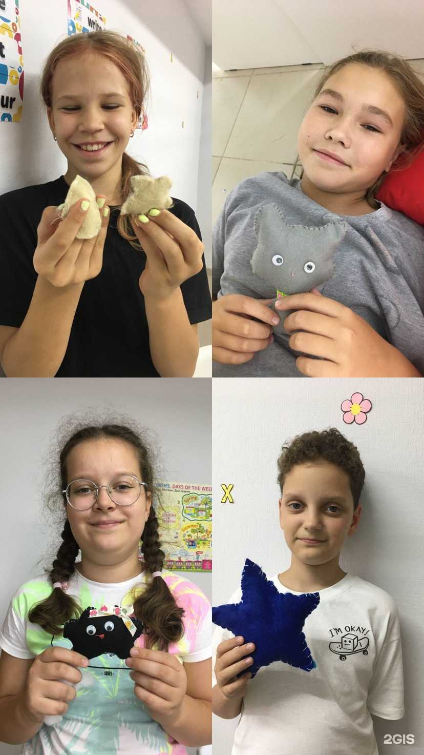 Отзывы на компанию Lingua Nova в Краснодаре c фото