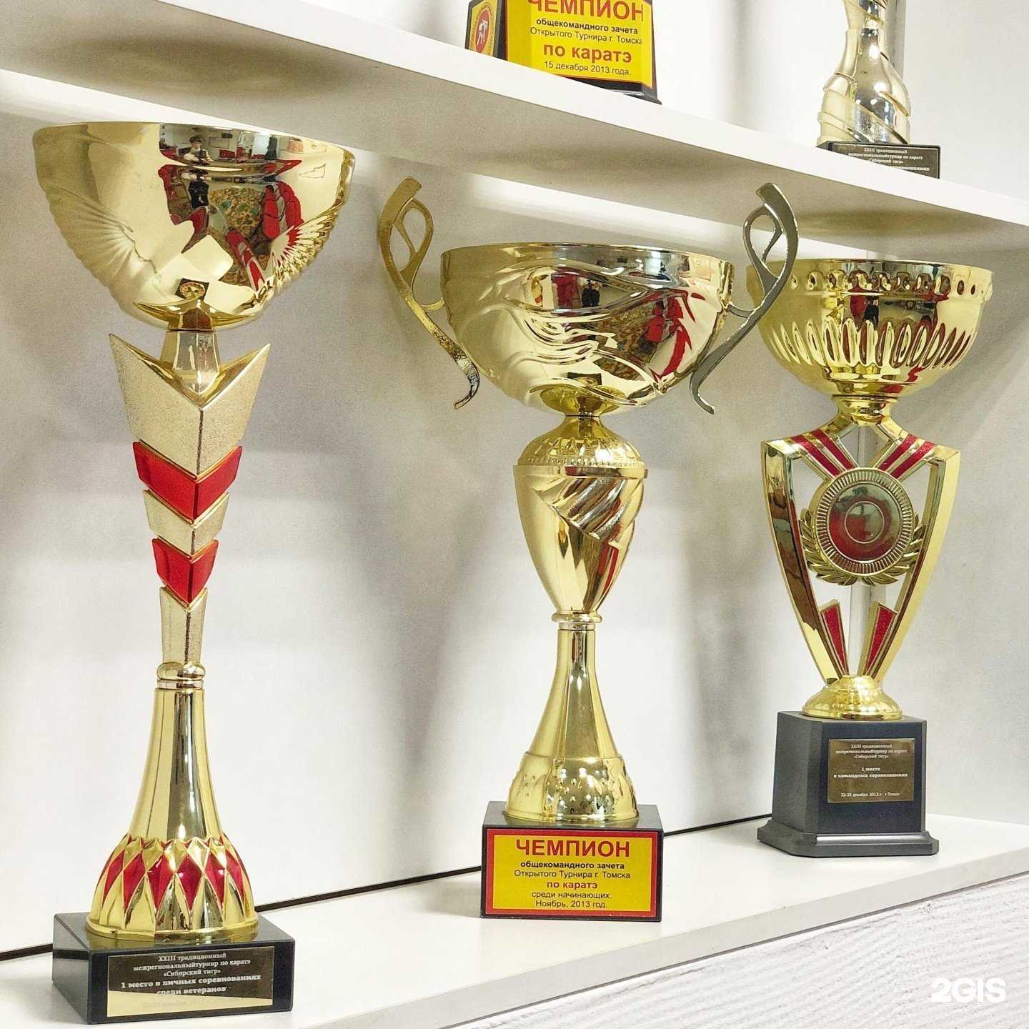 Отзывы на компанию Киндер-до в г. Томск c фото