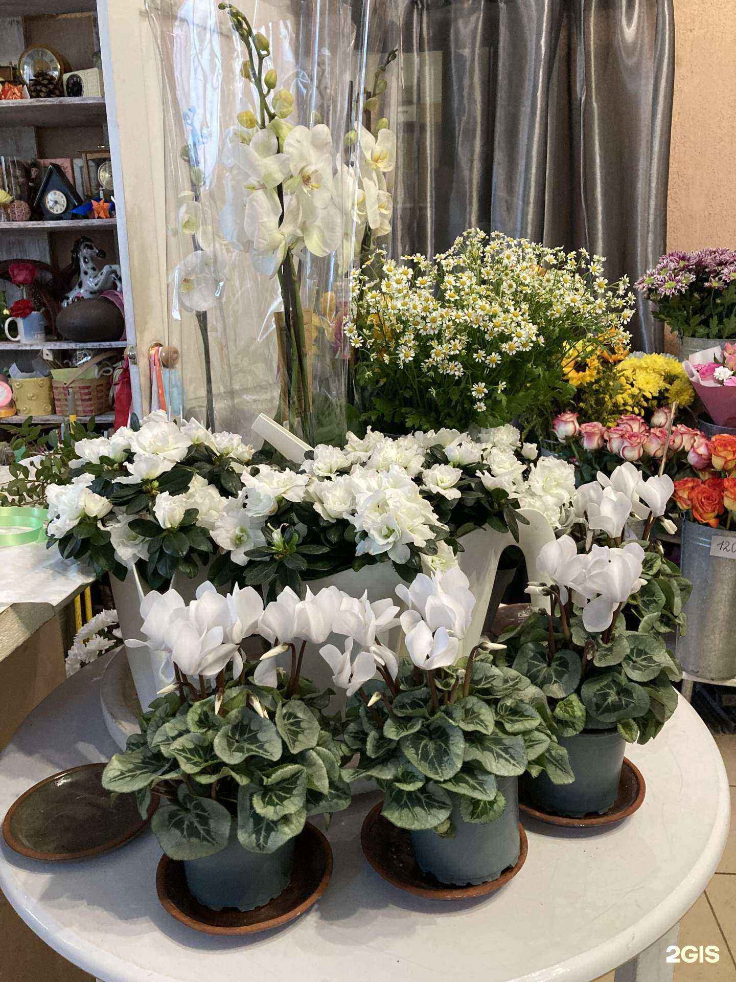 Отзывы на компанию Зеленая река в г. Верхняя Пышма c фото