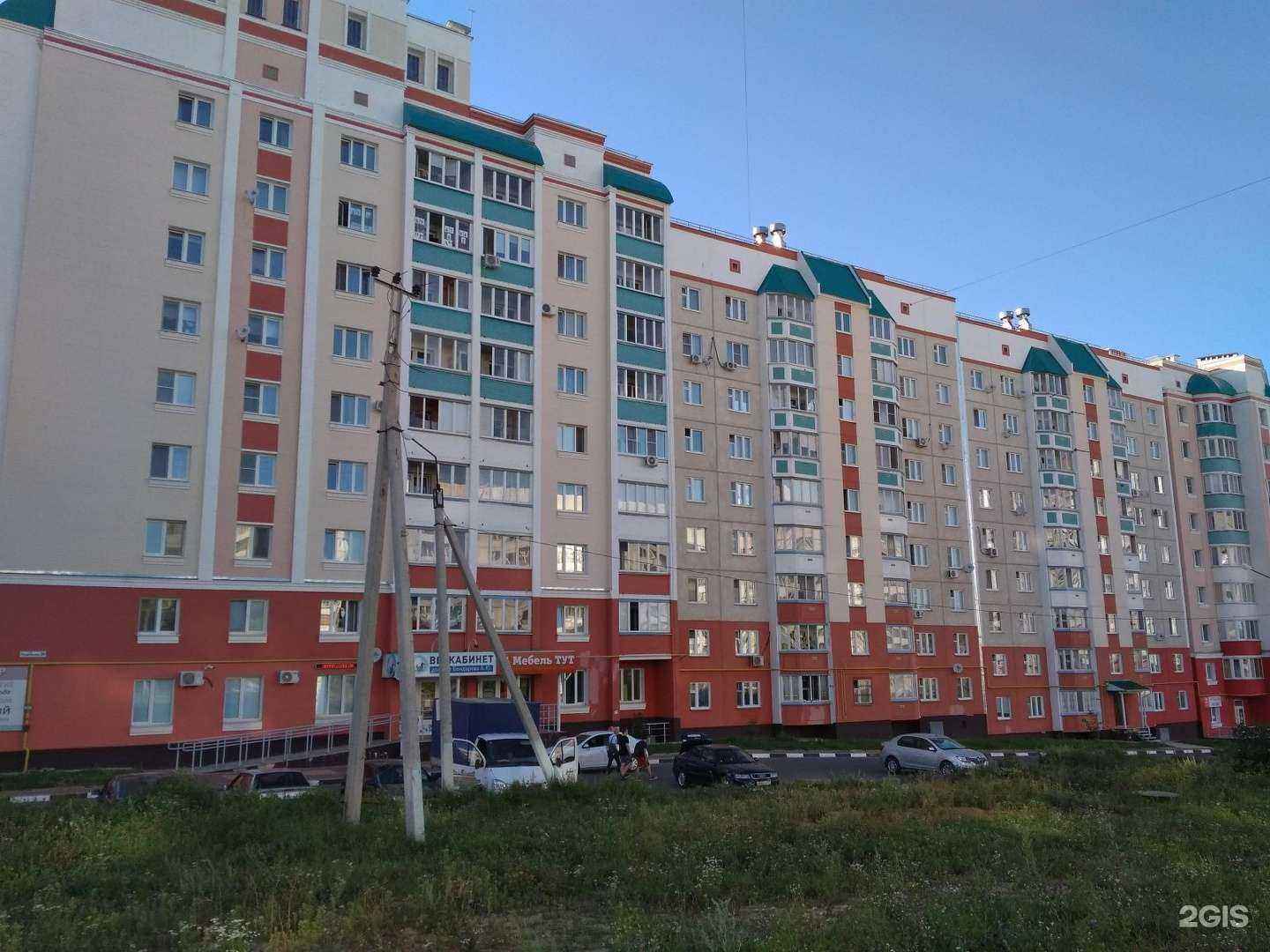 Отзывы на компанию Ветеринарная клиника доктора Бондарева в Орле c фото - фотография 2 из 2