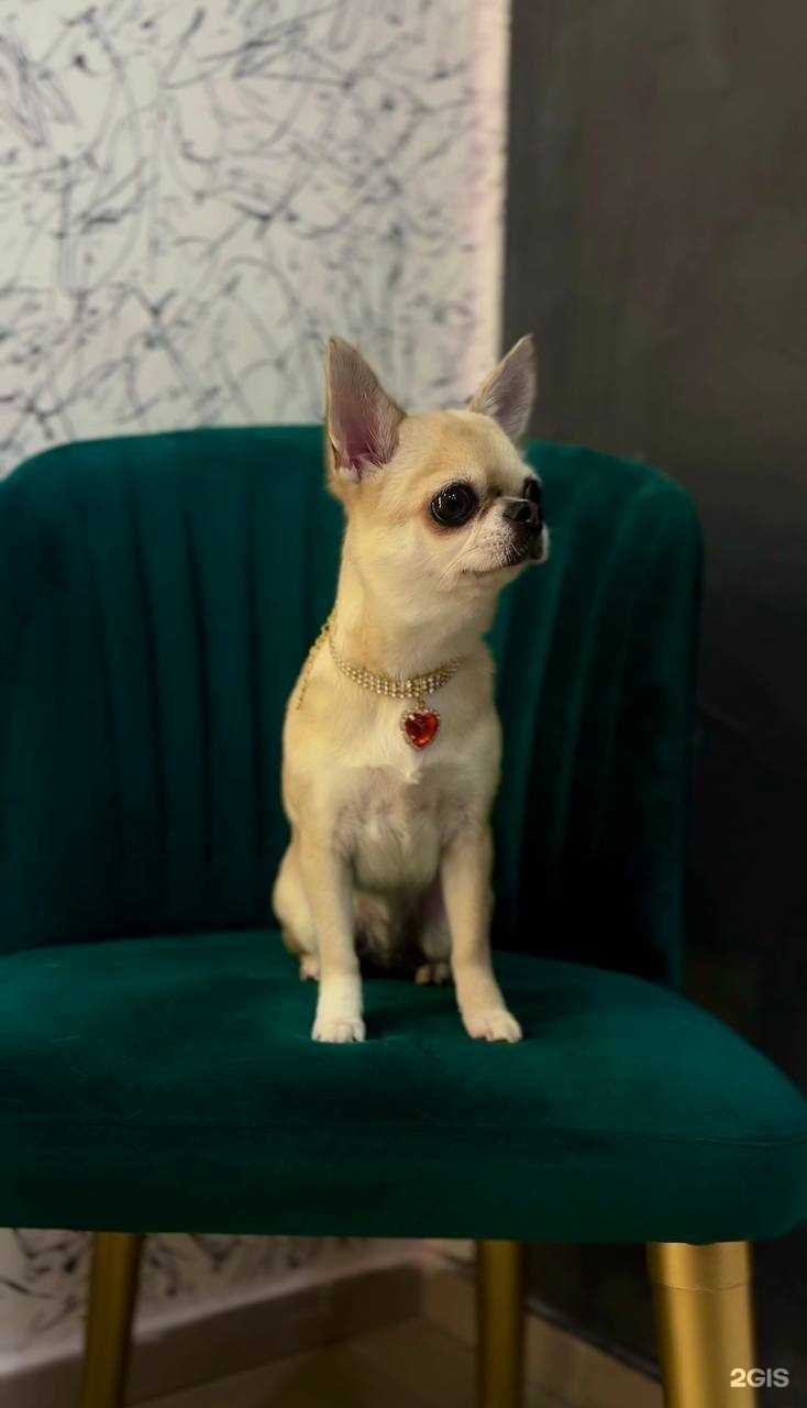 Отзывы на компанию Ева в Ставрополе c фото