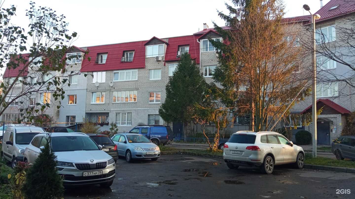 Отзывы на компанию Grinch  в Калининграде c фото - фотография 2 из 2