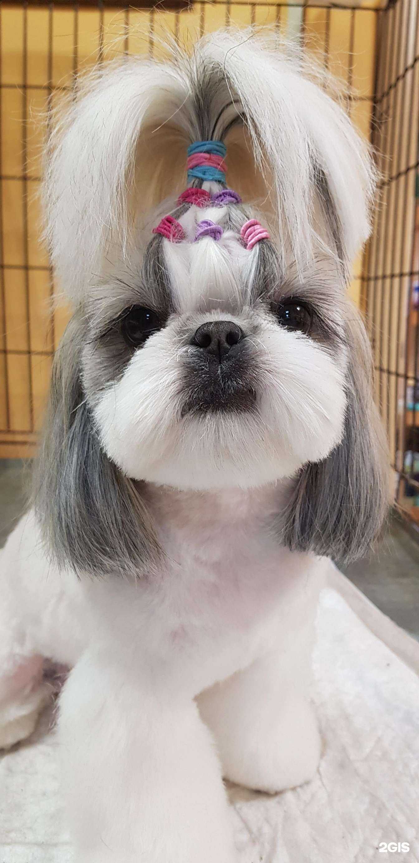 Отзывы на компанию Бостон в Новосибирске c фото