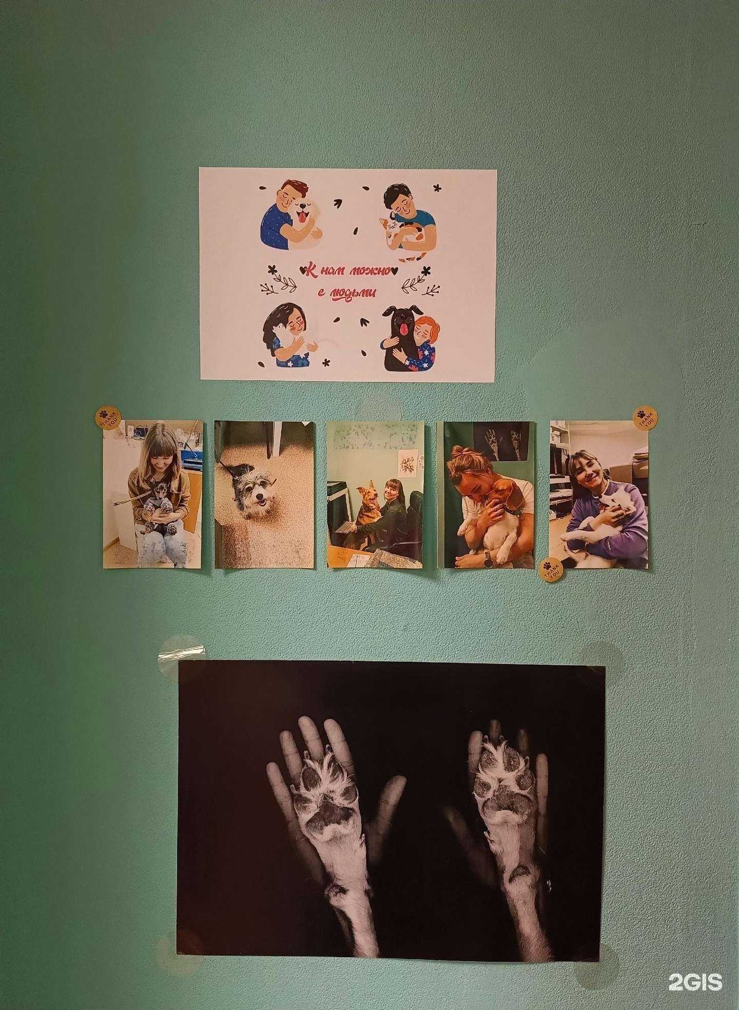 Отзывы на компанию Штирлиц в г. Пермь c фото