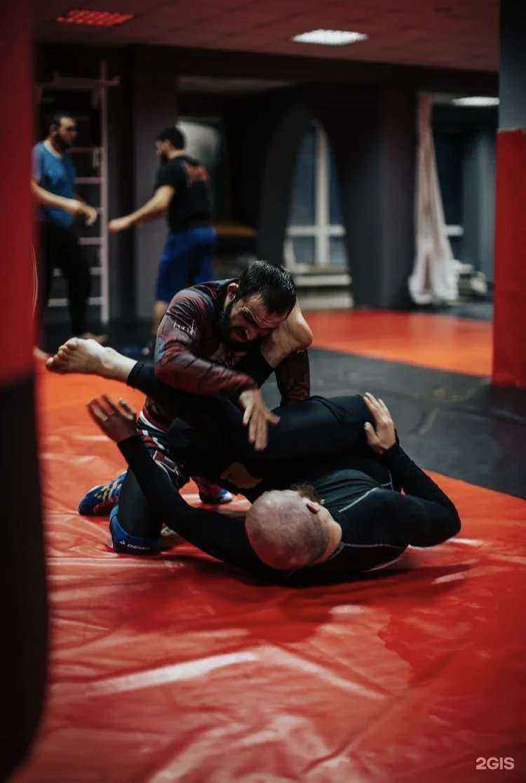 Отзывы на компанию Тайфун в г. Сургут c фото