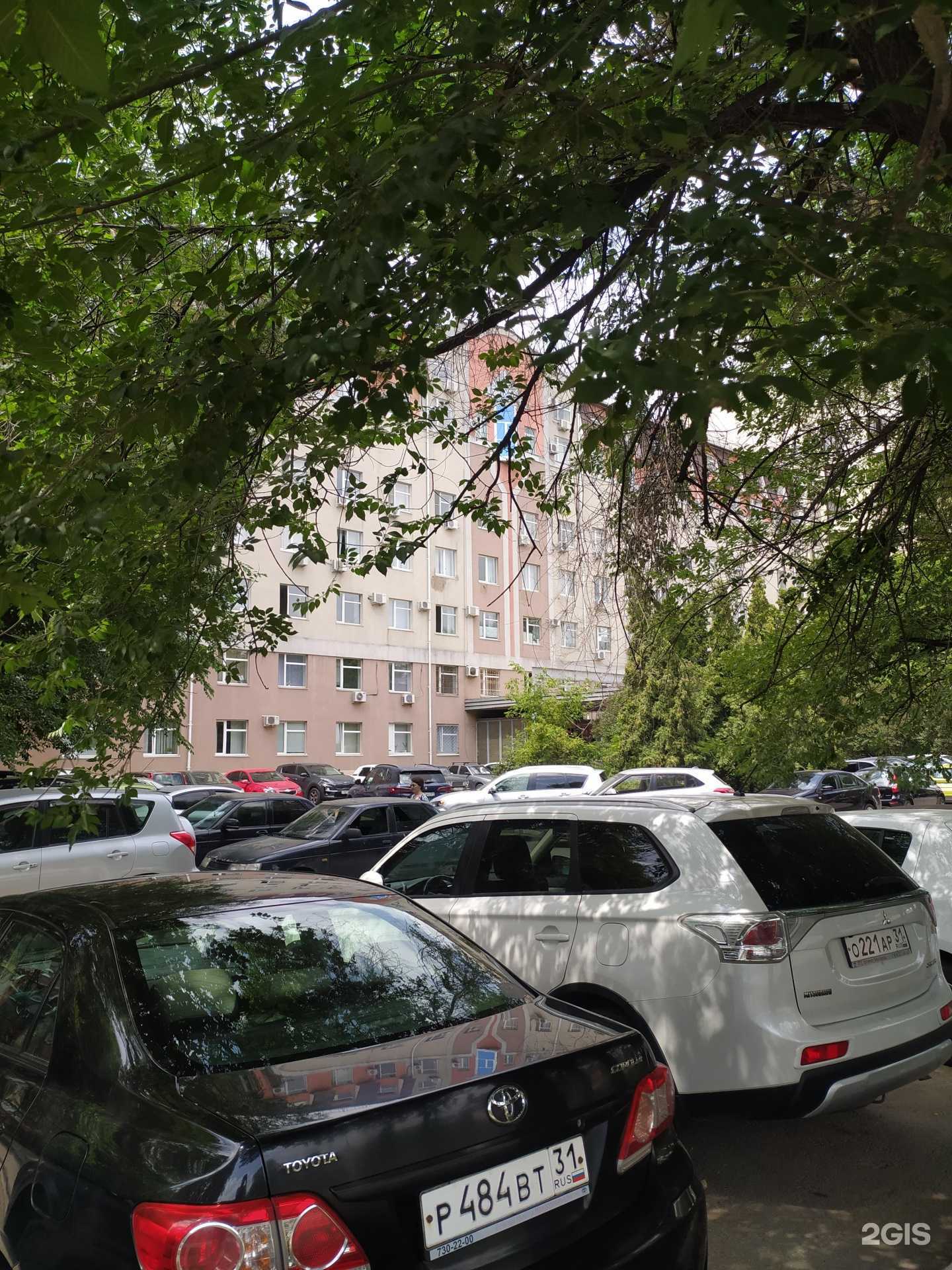 Отзывы на компанию Натали-Дент в Белгороде c фото - фотография 2 из 2