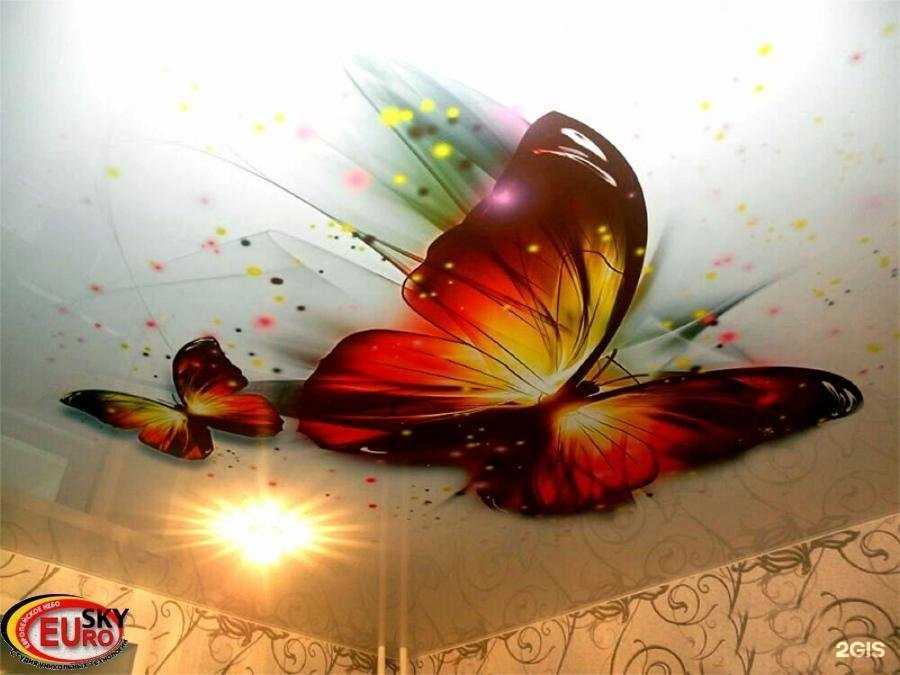 Отзывы на компанию Euro Sky в Калуге c фото