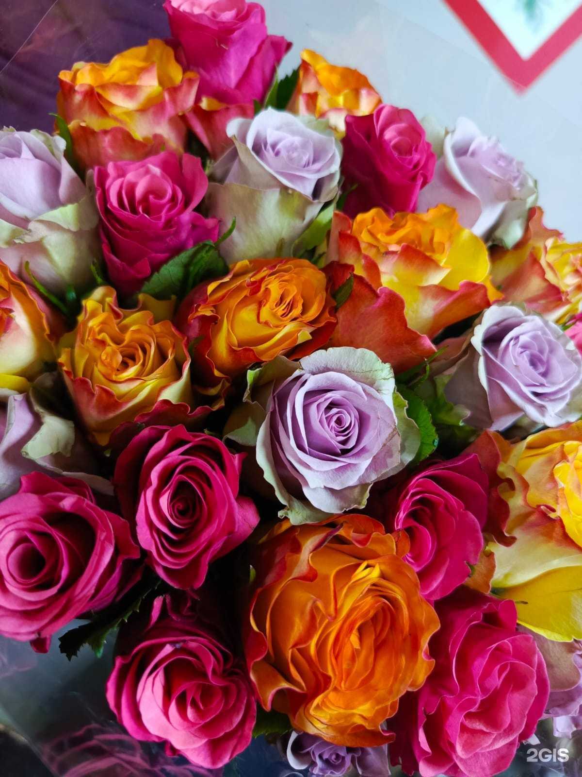 Отзывы на компанию Матрикария в Тюмени c фото