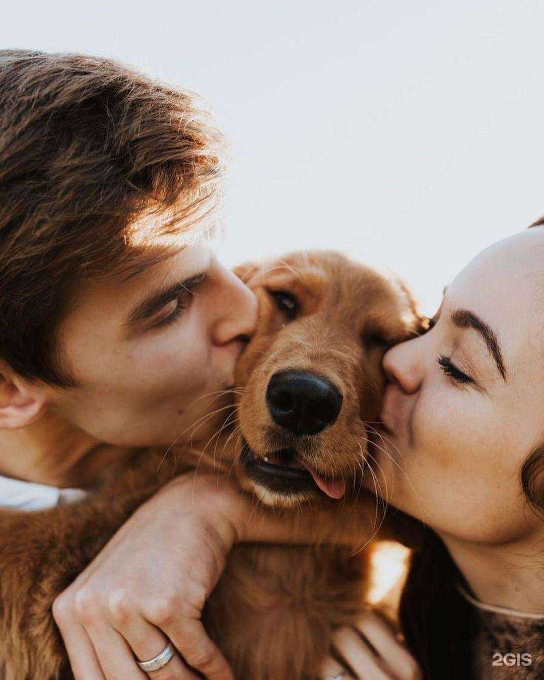 Отзывы на компанию ЗооМир в Петрозаводске c фото