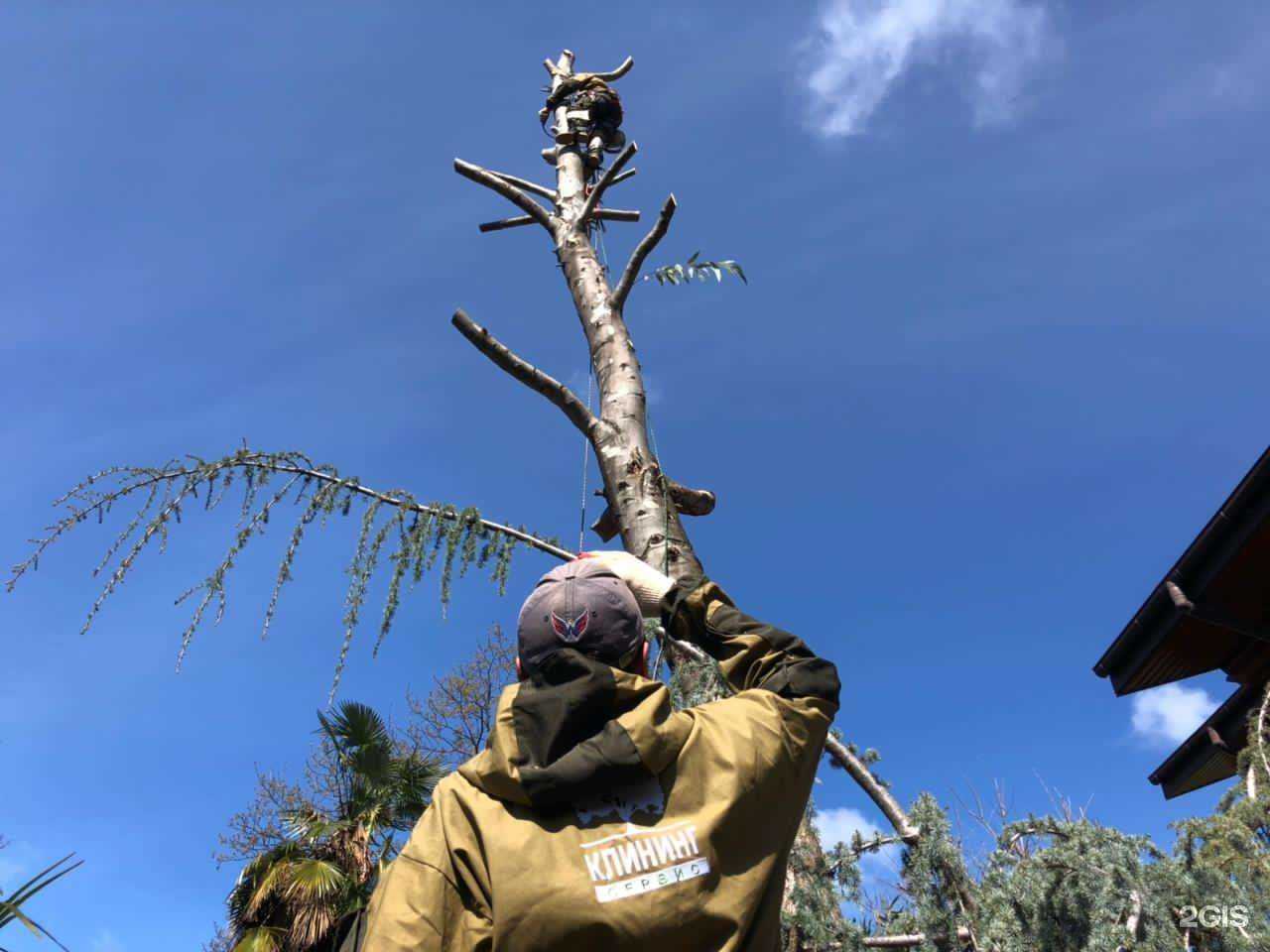 Отзывы на компанию Клининг Сервис в Сочи c фото