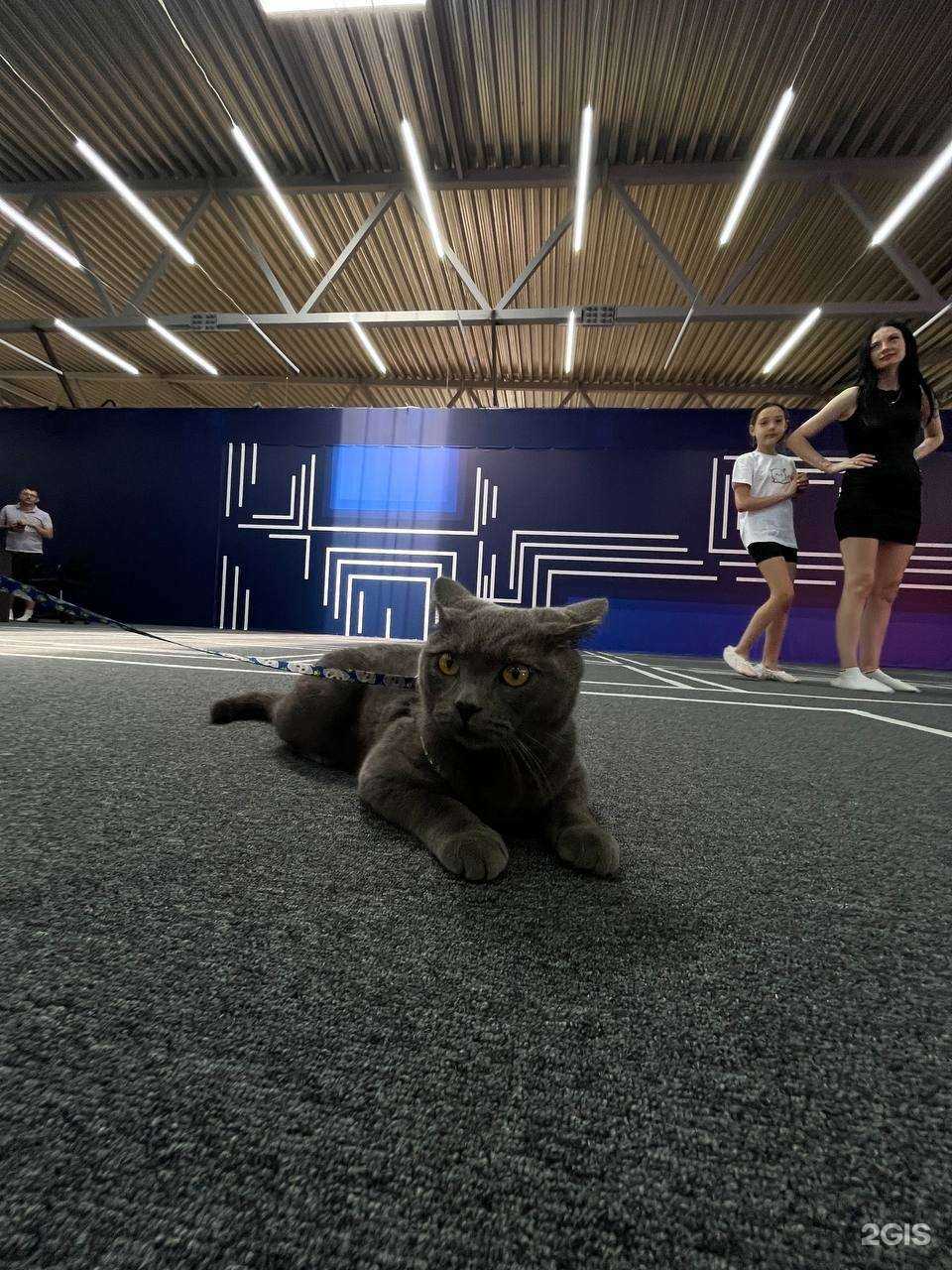 Отзывы на компанию Another World в г. Ревда c фото