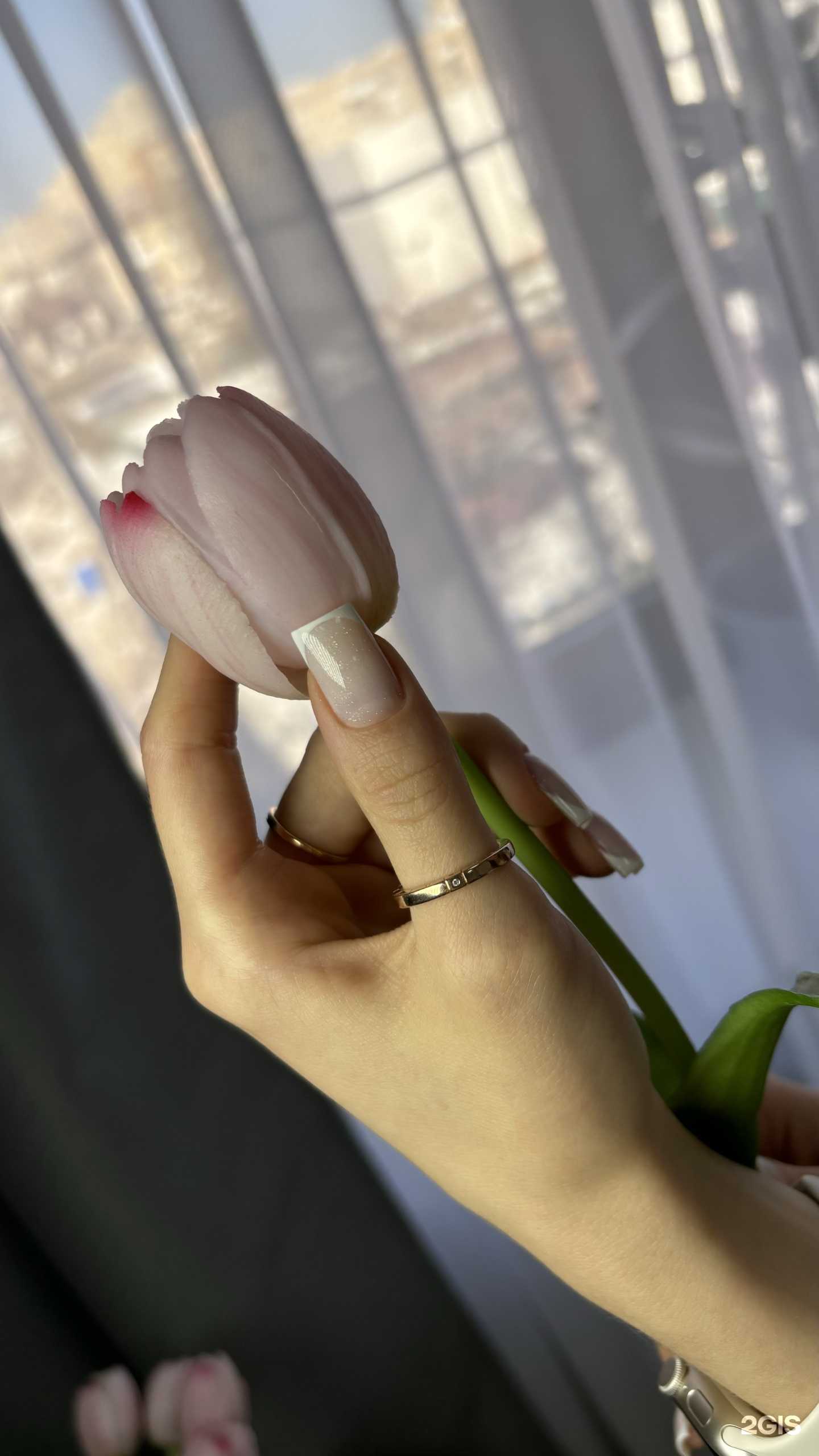 Отзывы на компанию Mimi  в Ставрополе c фото