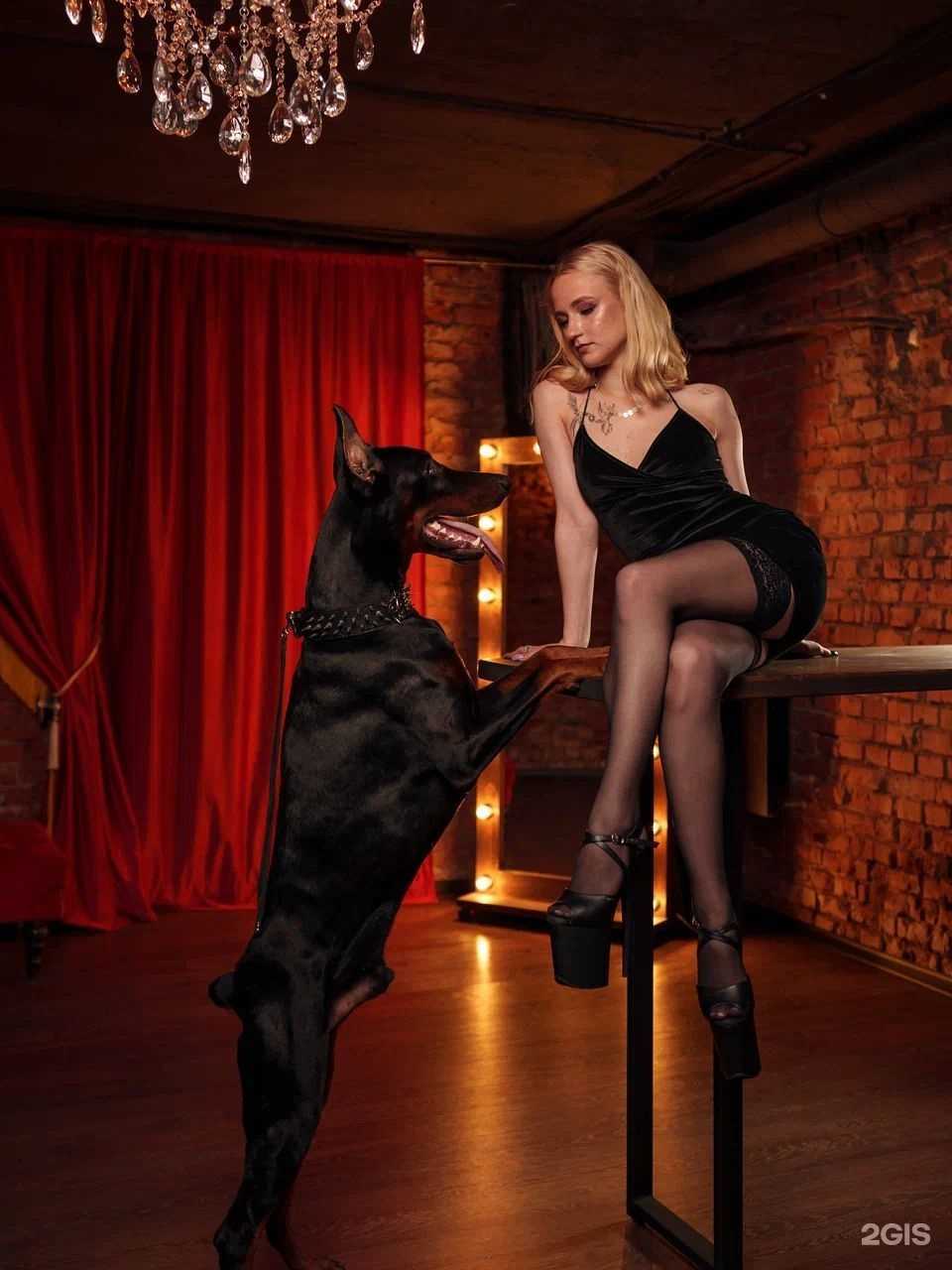 Отзывы на компанию Enigma в г. Новосибирск c фото